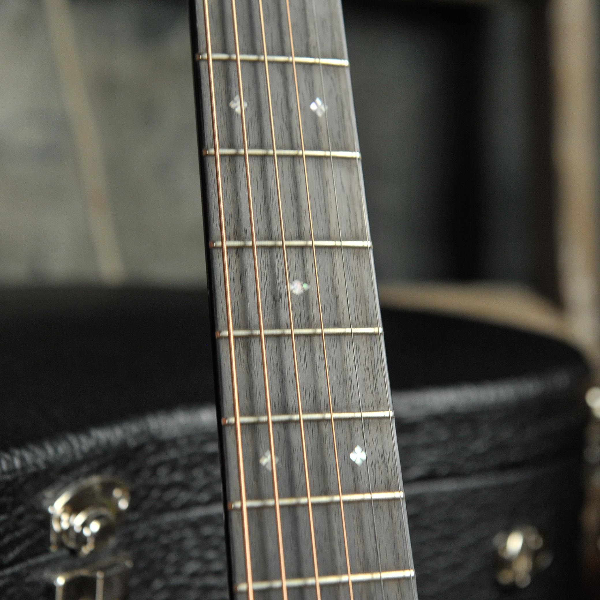 Bourgeois Professional Series Vintage OM Rosewood s#10393