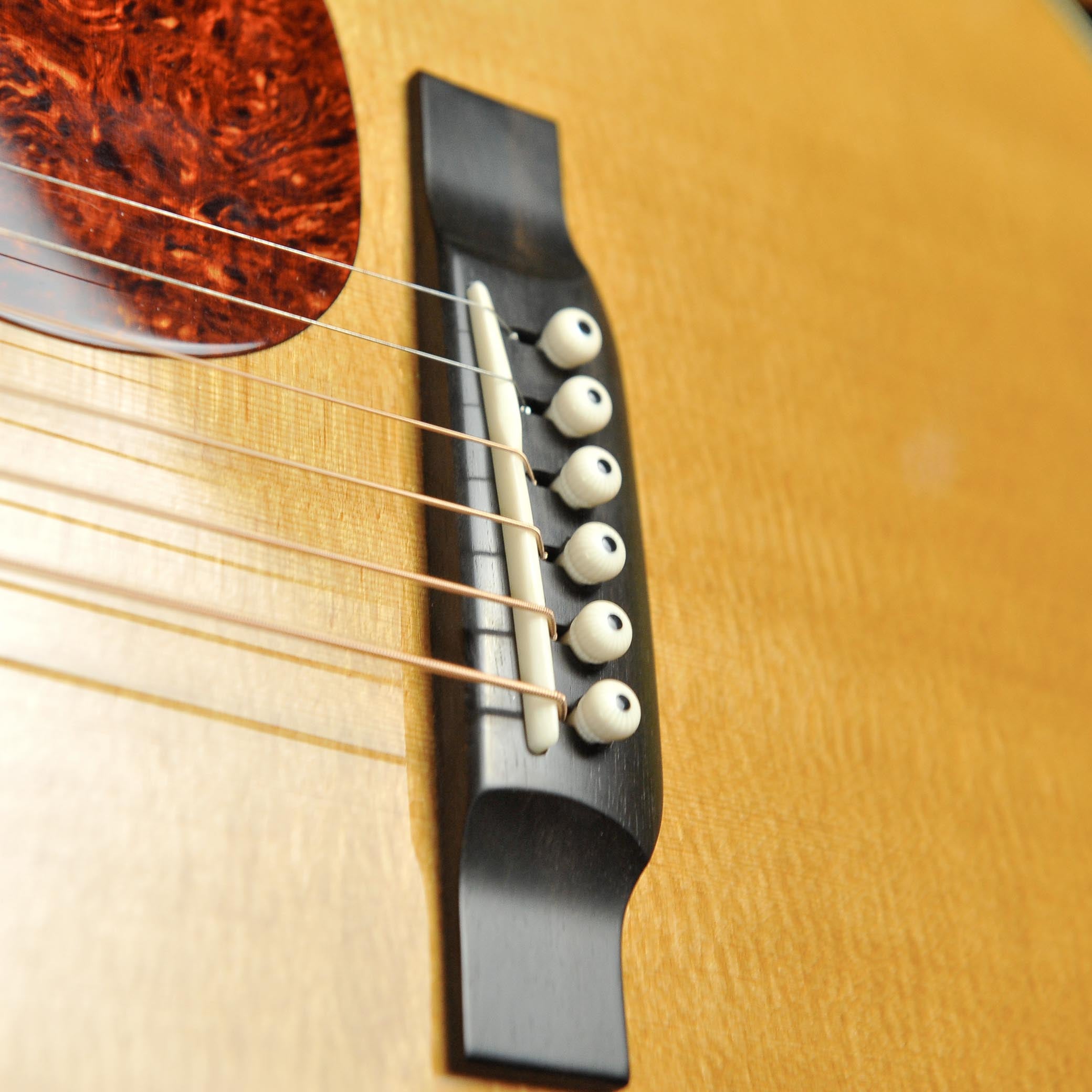 Bourgeois Professional Series Vintage OM Rosewood s#10393