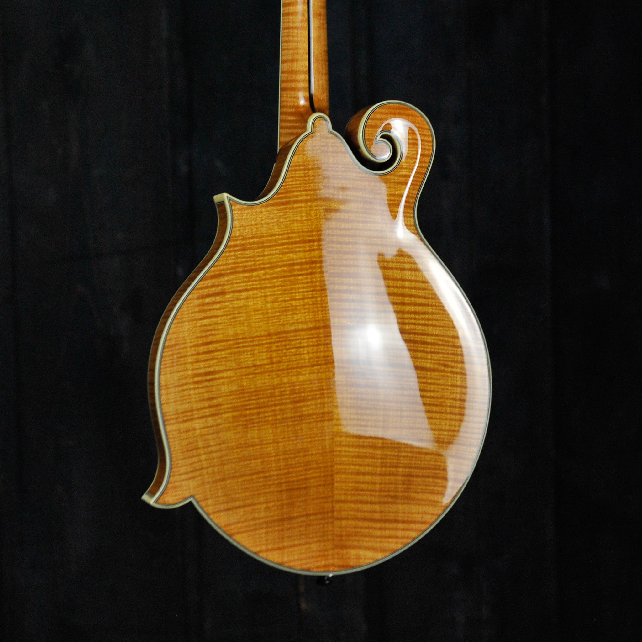 Bourgeois M5 F Model Mandolin