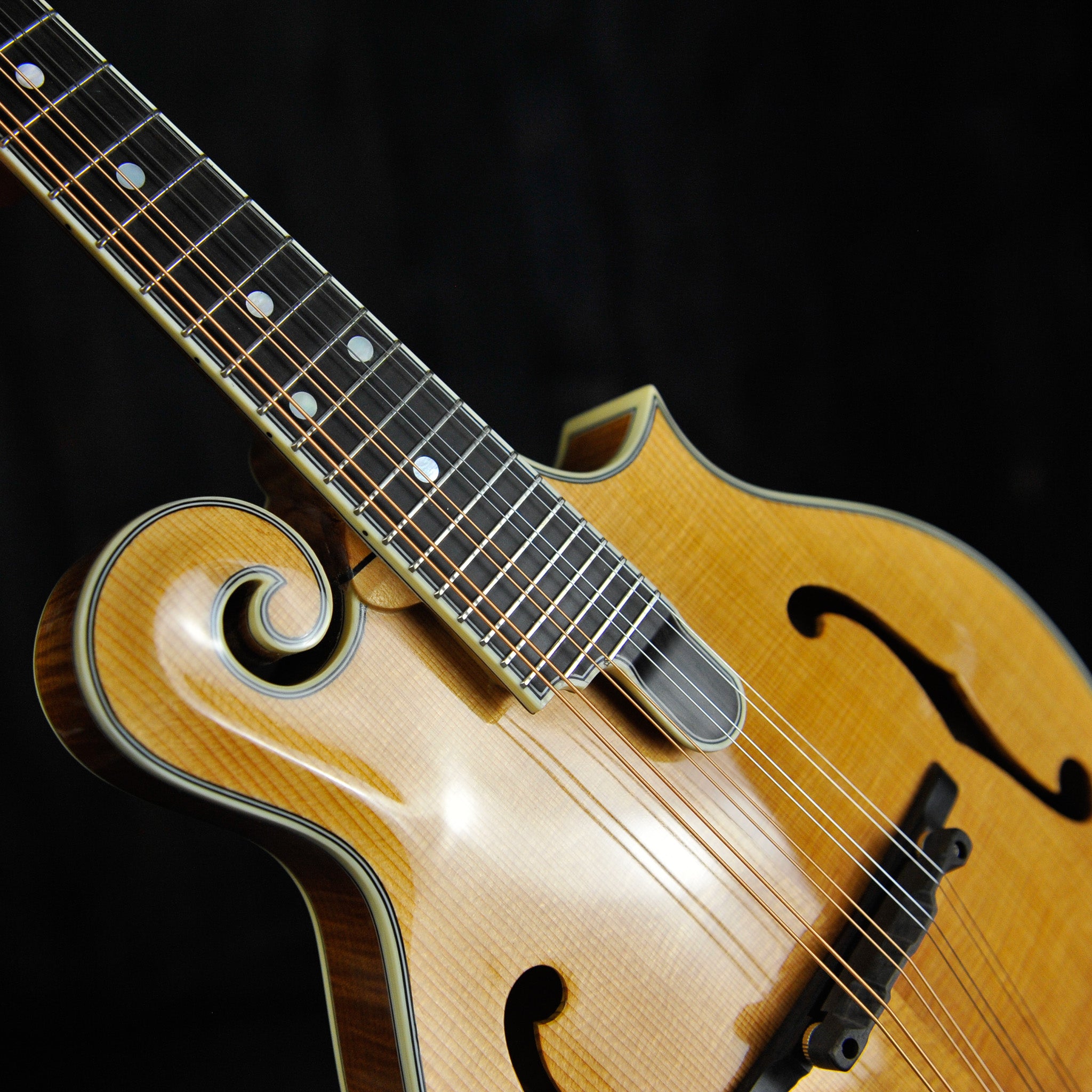 Bourgeois M5 F Model Mandolin