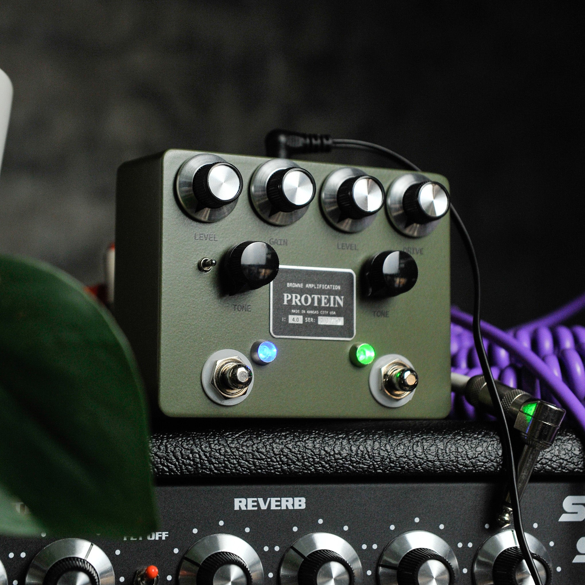 Browne Amplification Protein Dual Overdrive v4 Green