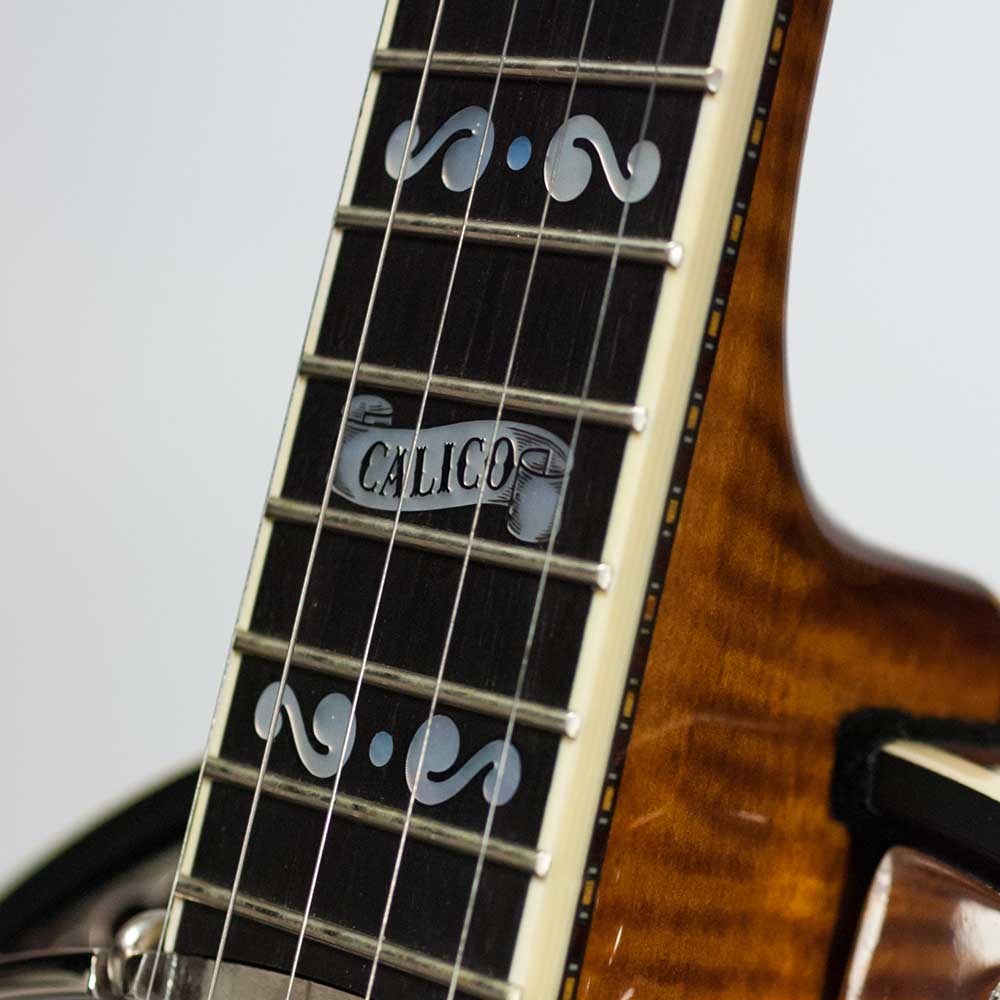 Deering Calico 5-String Banjo Resonator w/Case