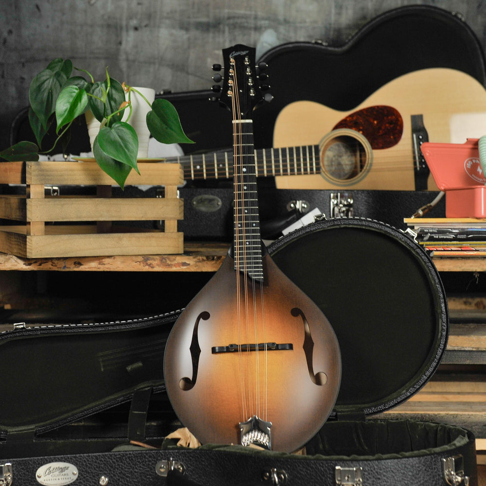 Collings MT Mandolin 1 3/16th Nut