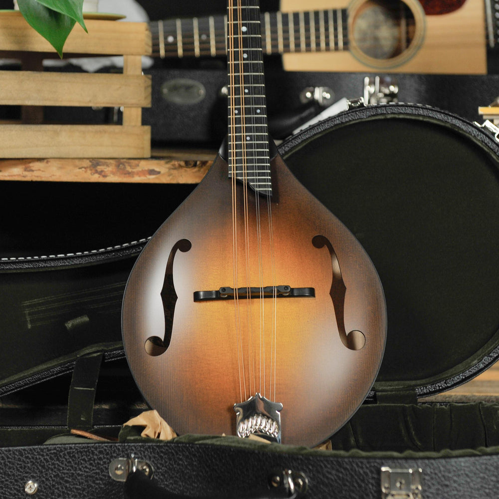 Collings MT Mandolin 1 3/16th Nut