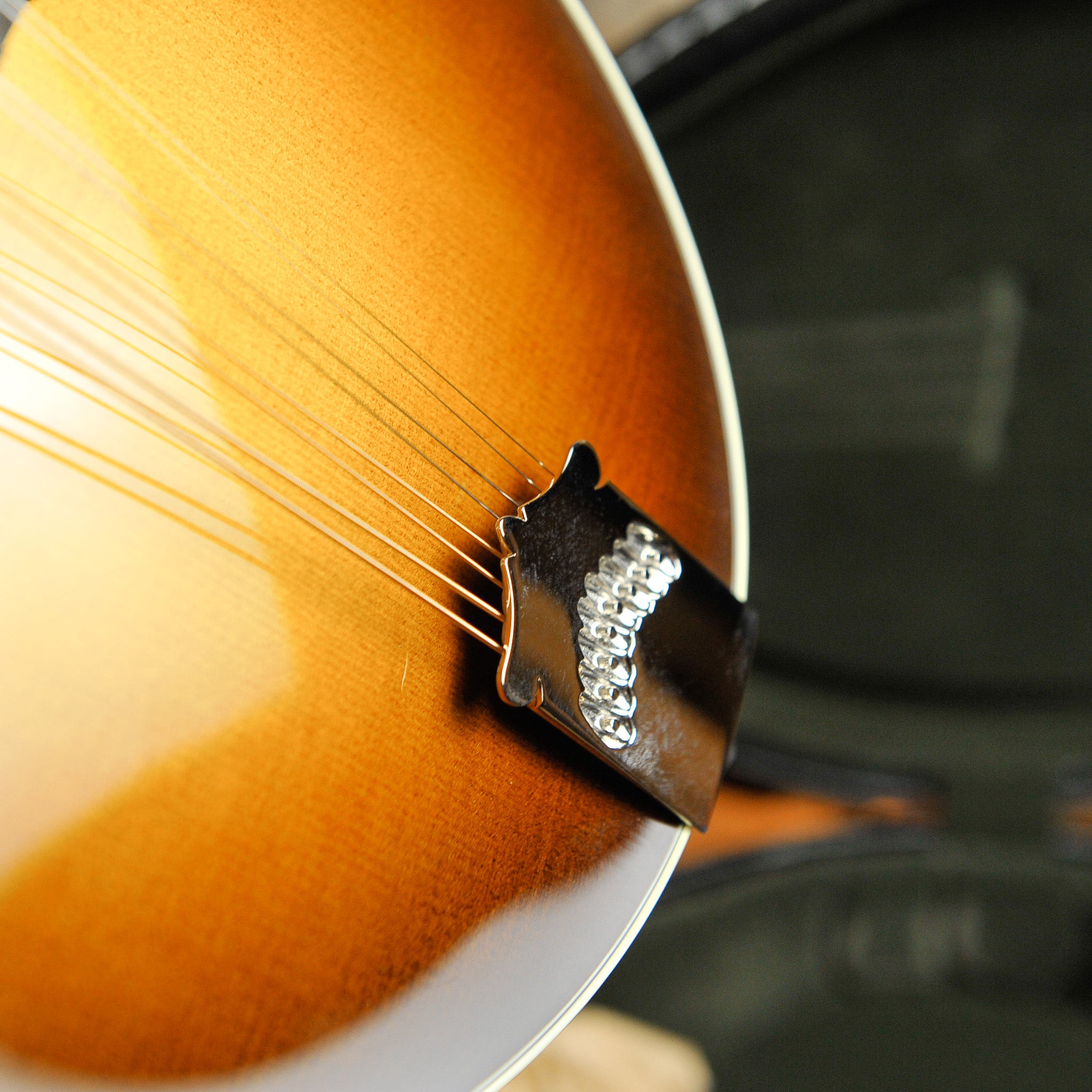 Collings MT2 Full Gloss A-Style Mandolin s#A4731