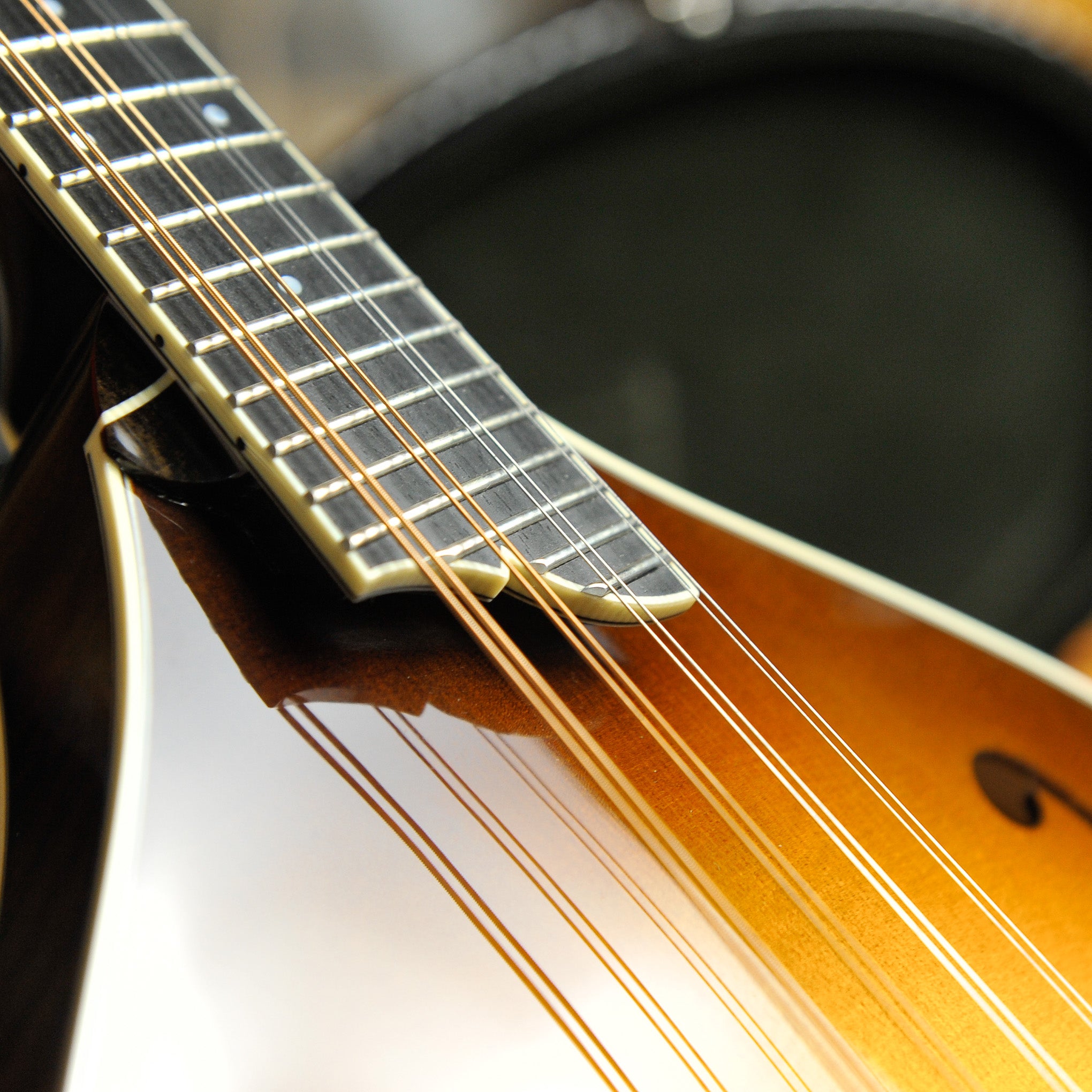 Collings MT2 Full Gloss A-Style Mandolin s#A4731