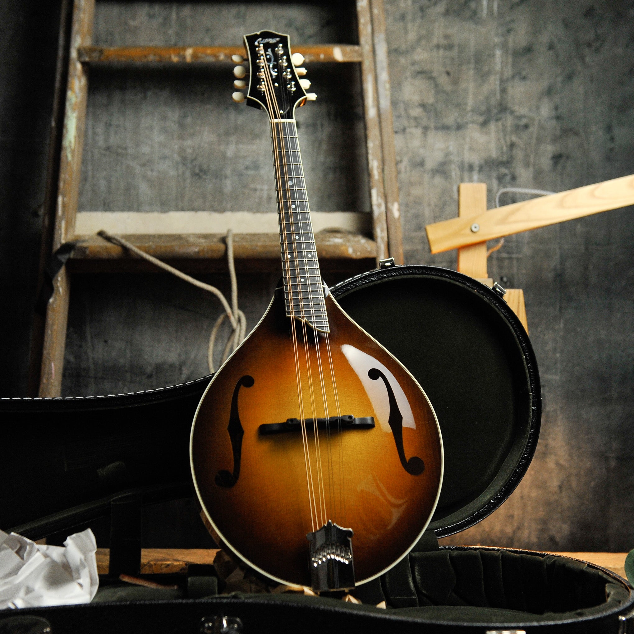 Collings MT2 Full Gloss A-Style Mandolin s#A4731
