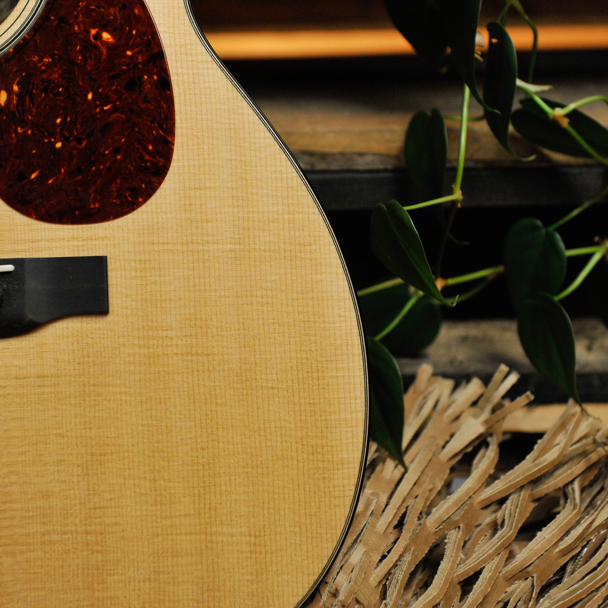 Collings OM1 Orchestral Model Sitka Mahogany Acoustic Guitar