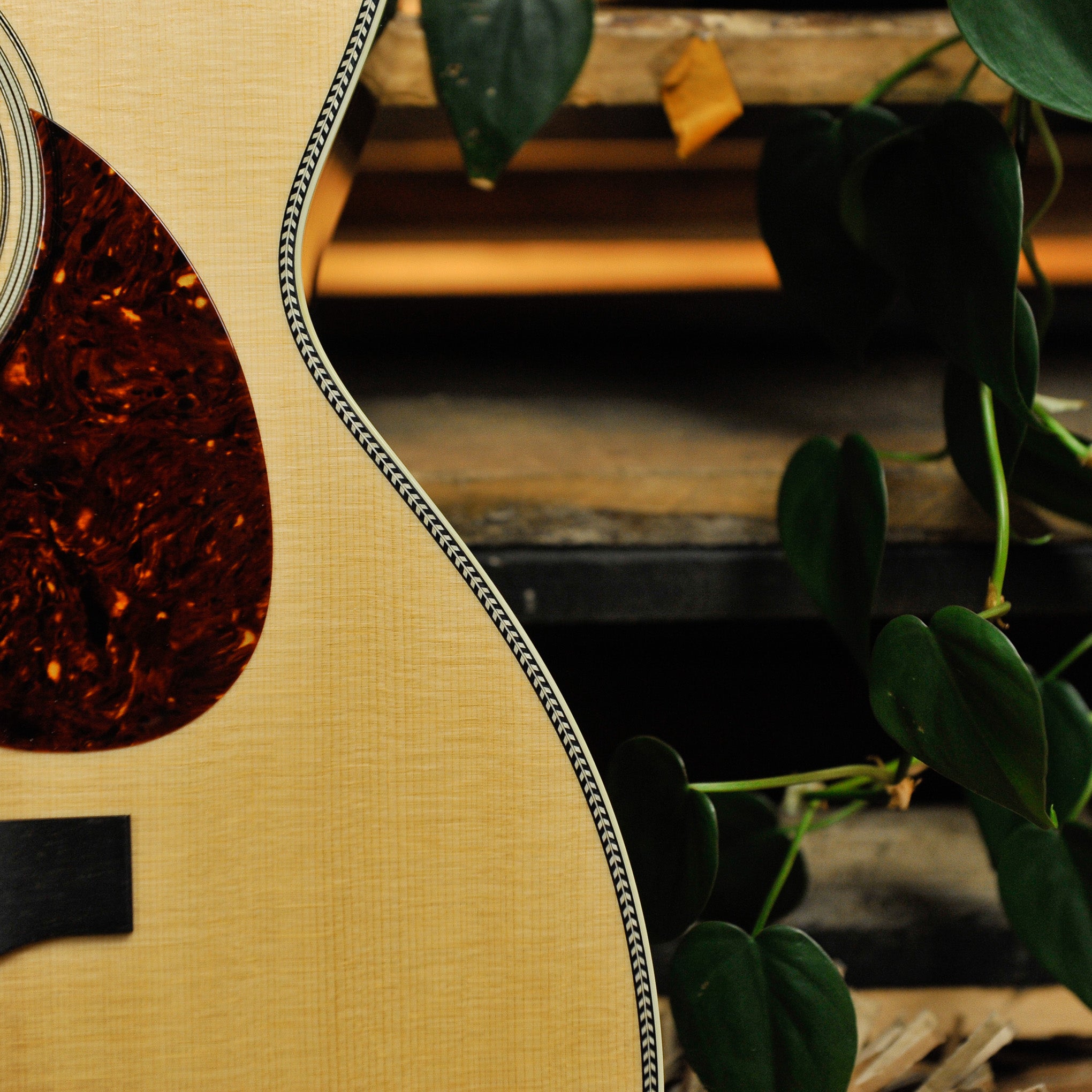 Buy Collings OM2H Orchestra Model Acoustic Guitar Australia