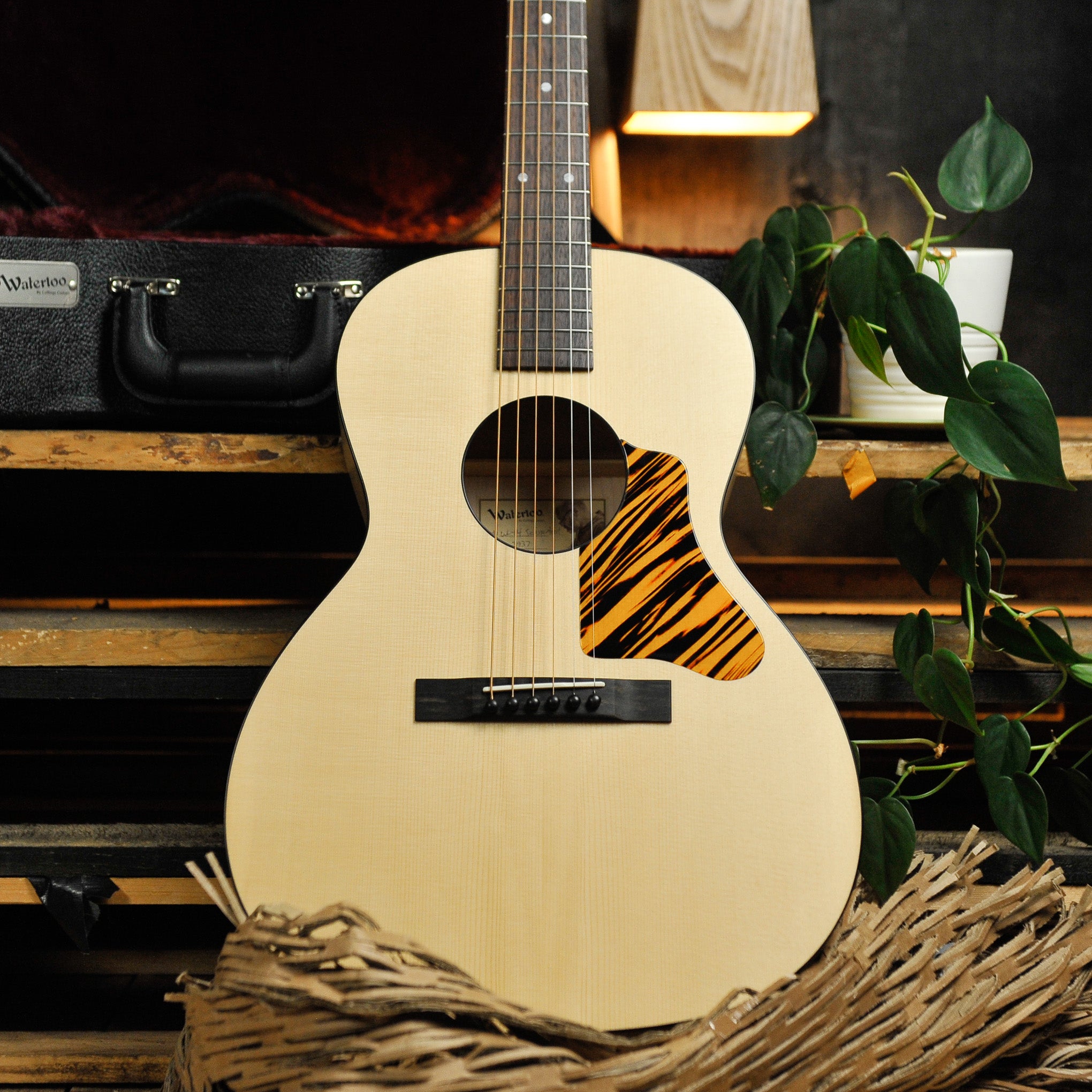 Waterloo WL-14 Scissortail Spruce Maple Acoustic Guitar