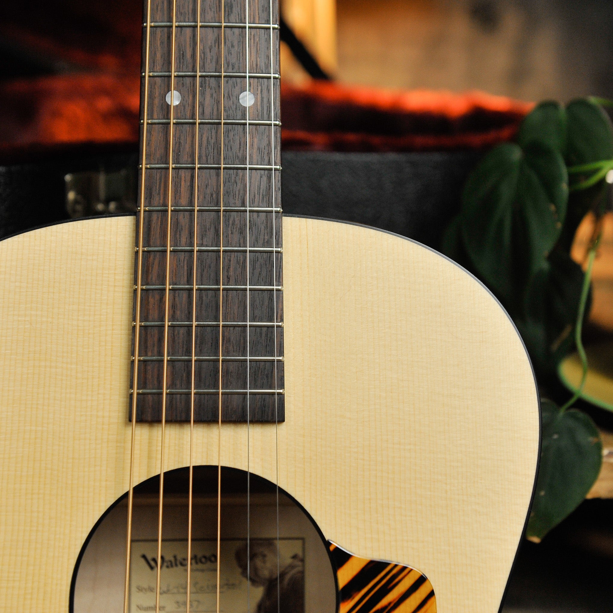 Waterloo WL-14 Scissortail Spruce Maple Acoustic Guitar