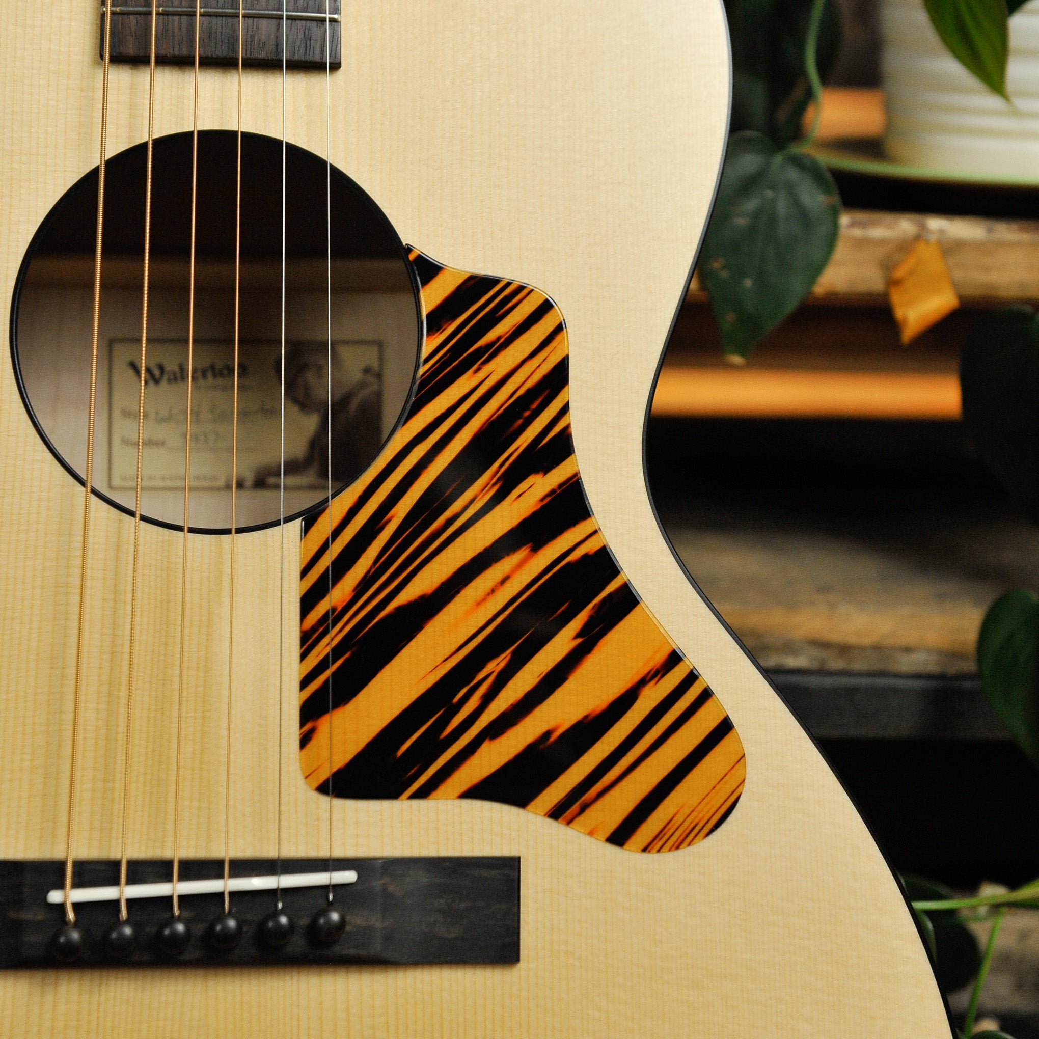 Waterloo WL-14 Scissortail Spruce Maple Acoustic Guitar