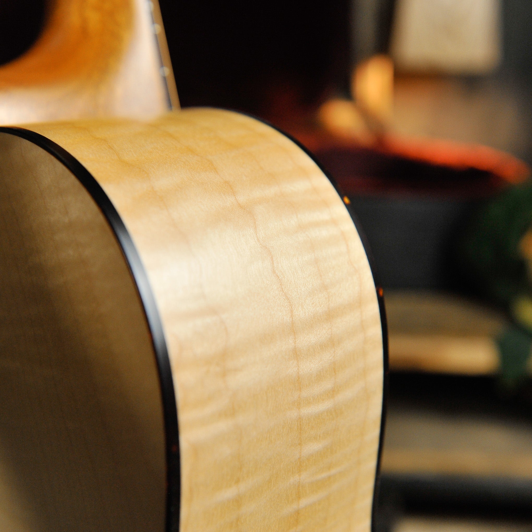 Waterloo WL-14 Scissortail Spruce Maple Acoustic Guitar