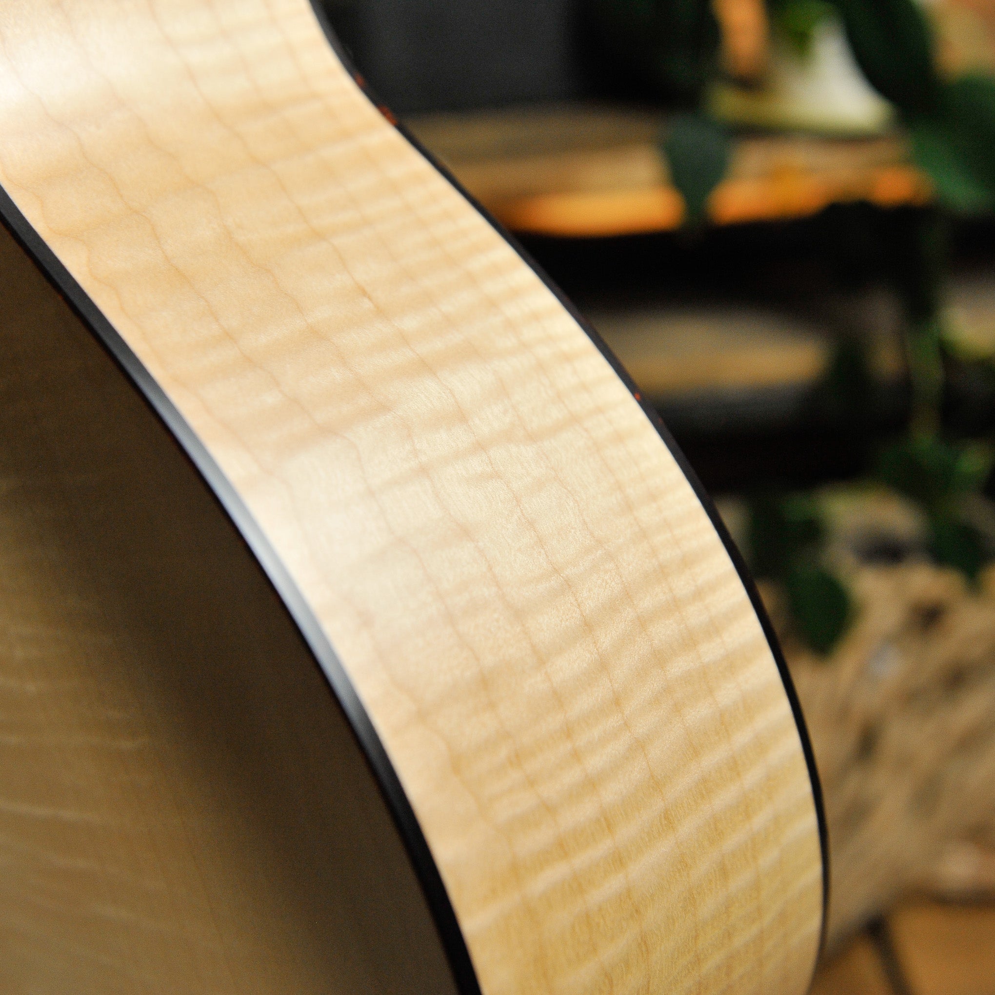 Waterloo WL-14 Scissortail Spruce Maple Acoustic Guitar
