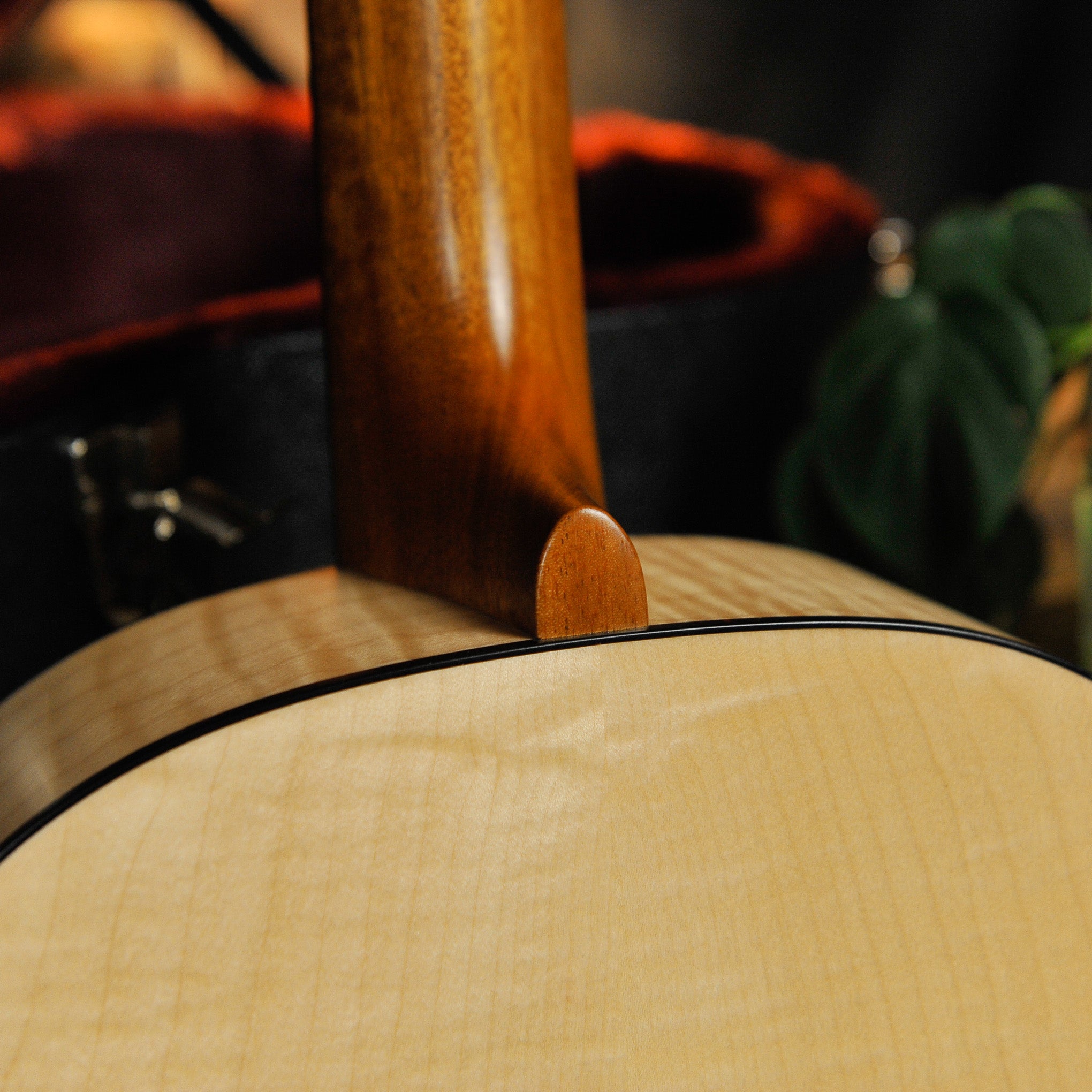 Waterloo WL-14 Scissortail Spruce Maple Acoustic Guitar