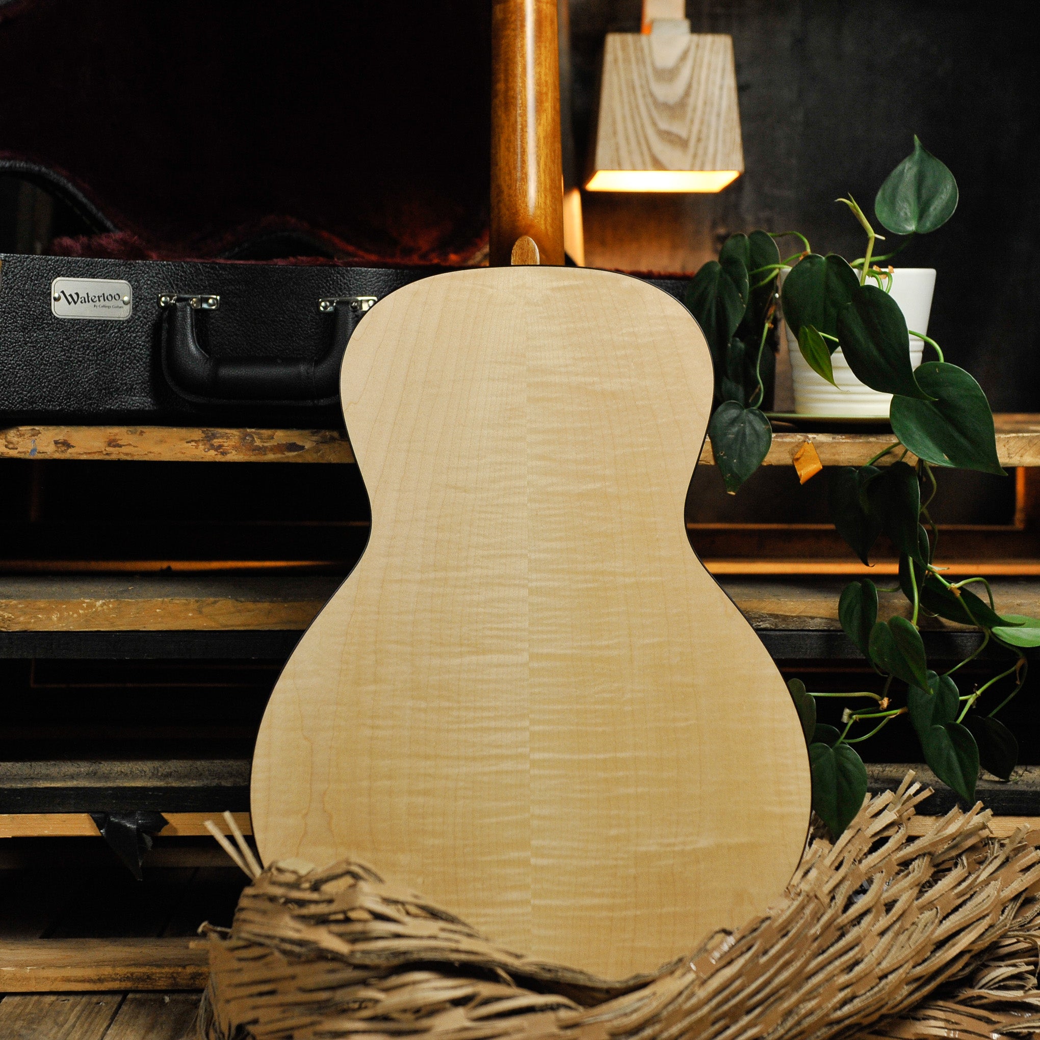 Waterloo WL-14 Scissortail Spruce Maple Acoustic Guitar