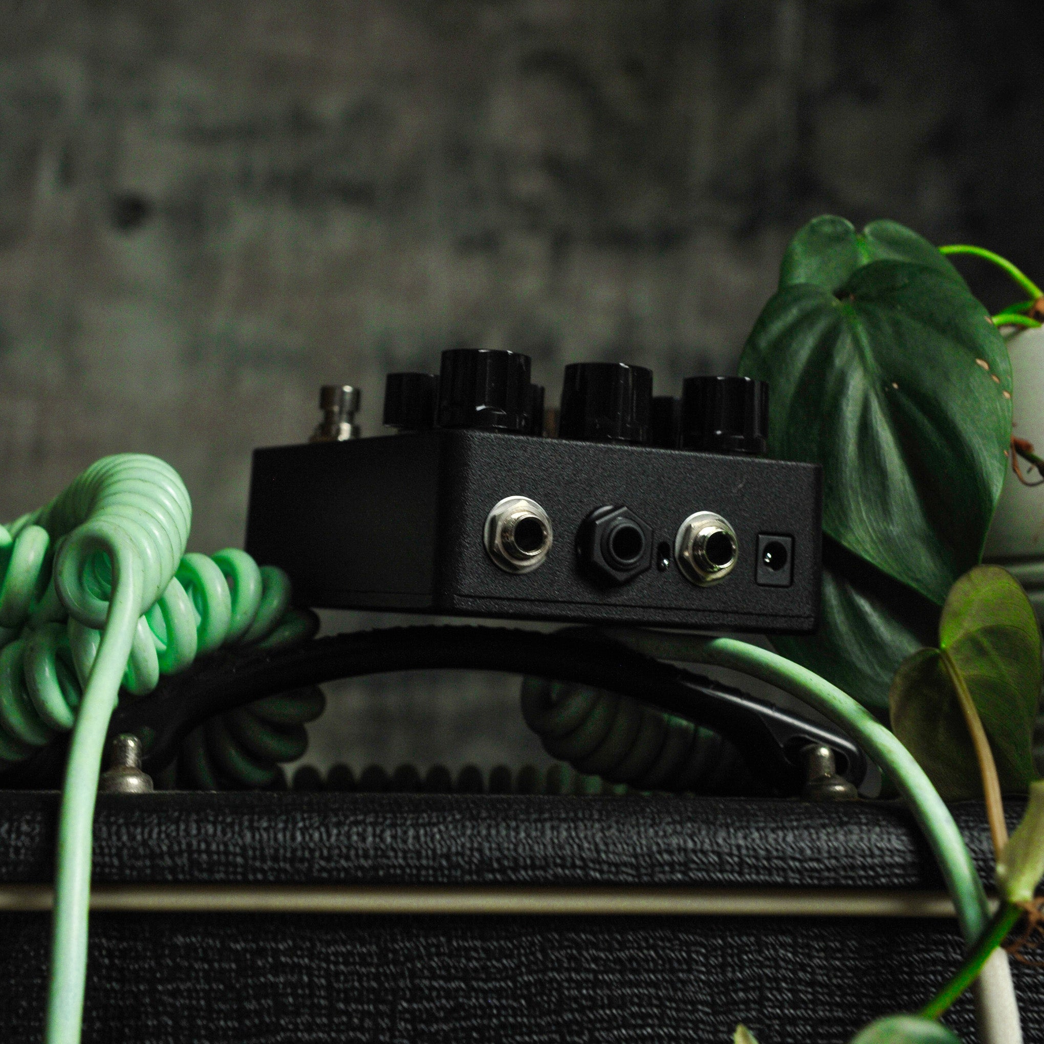 Electronic Audio Experiments Scattering Stereo Spatial Reverb Pedal