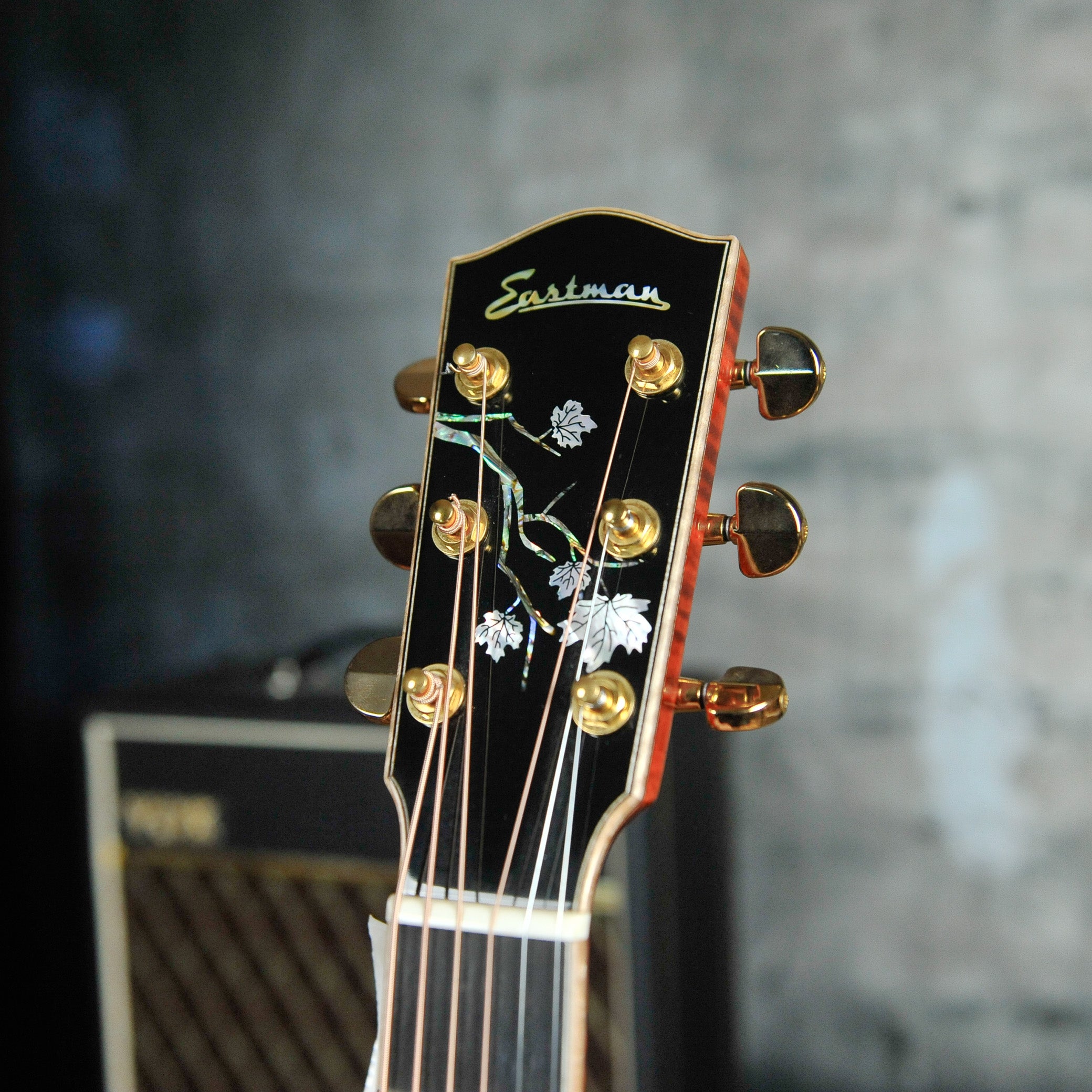 Eastman AC622CE Grand Auditorium Acoustic Guitar