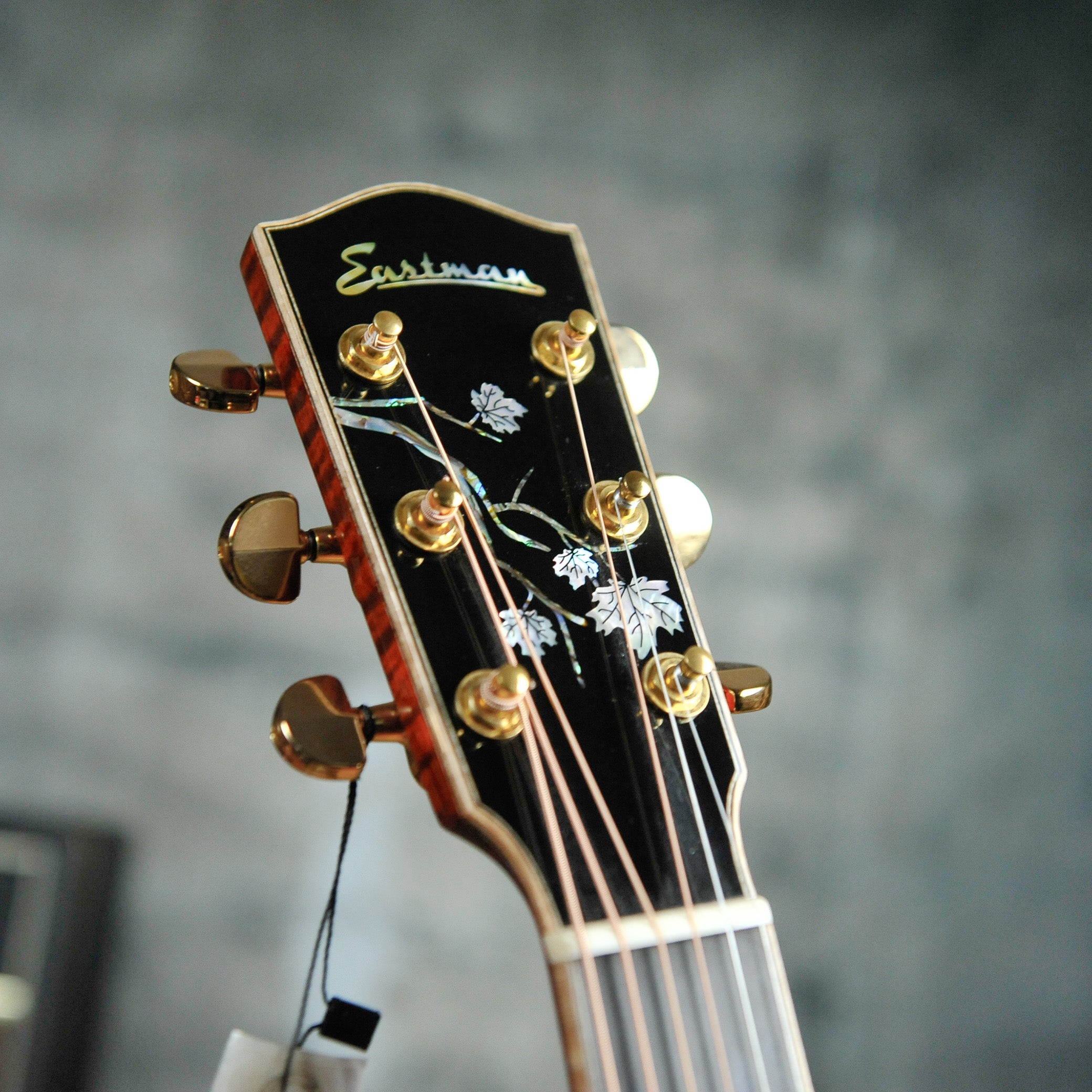 Eastman AC622CE Grand Auditorium Acoustic Guitar