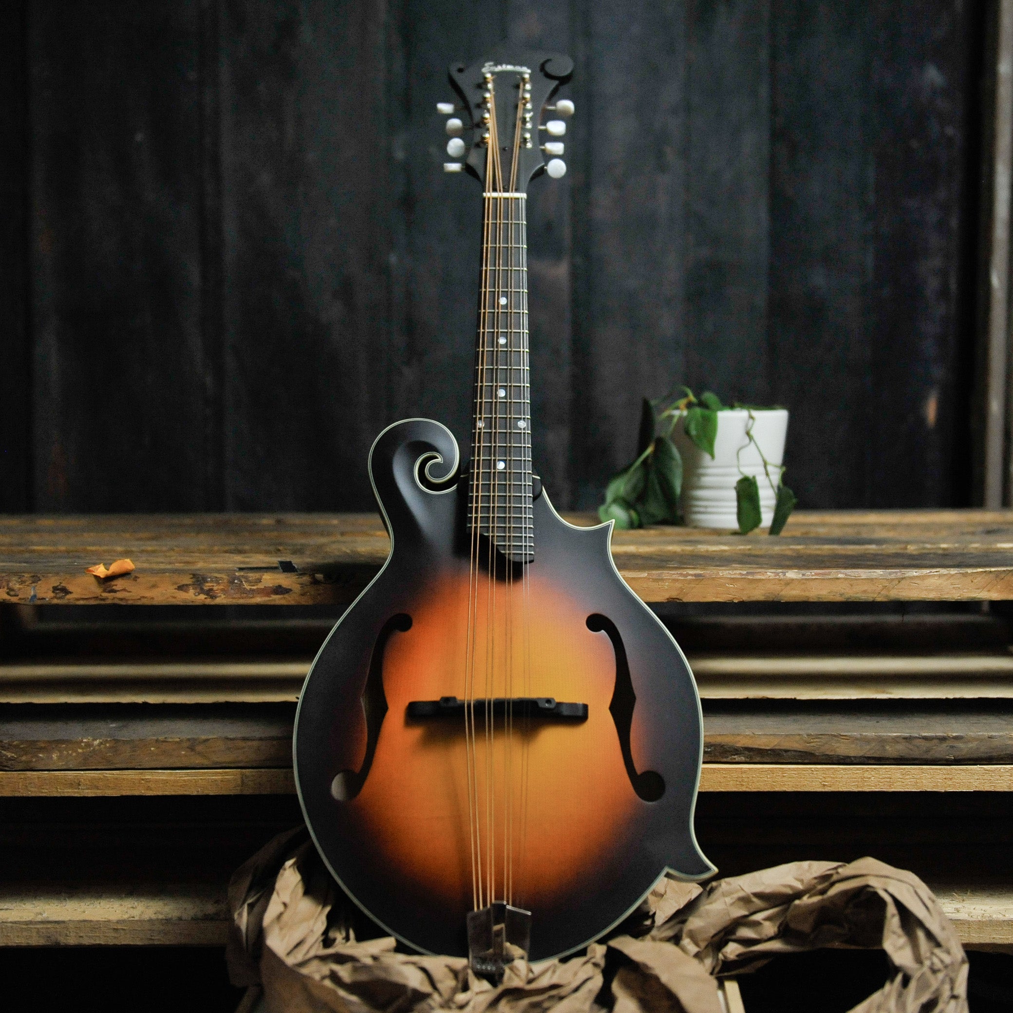 Eastman MDA315E SB F-Style Mandola w/Pickup w/Bag Sunburst
