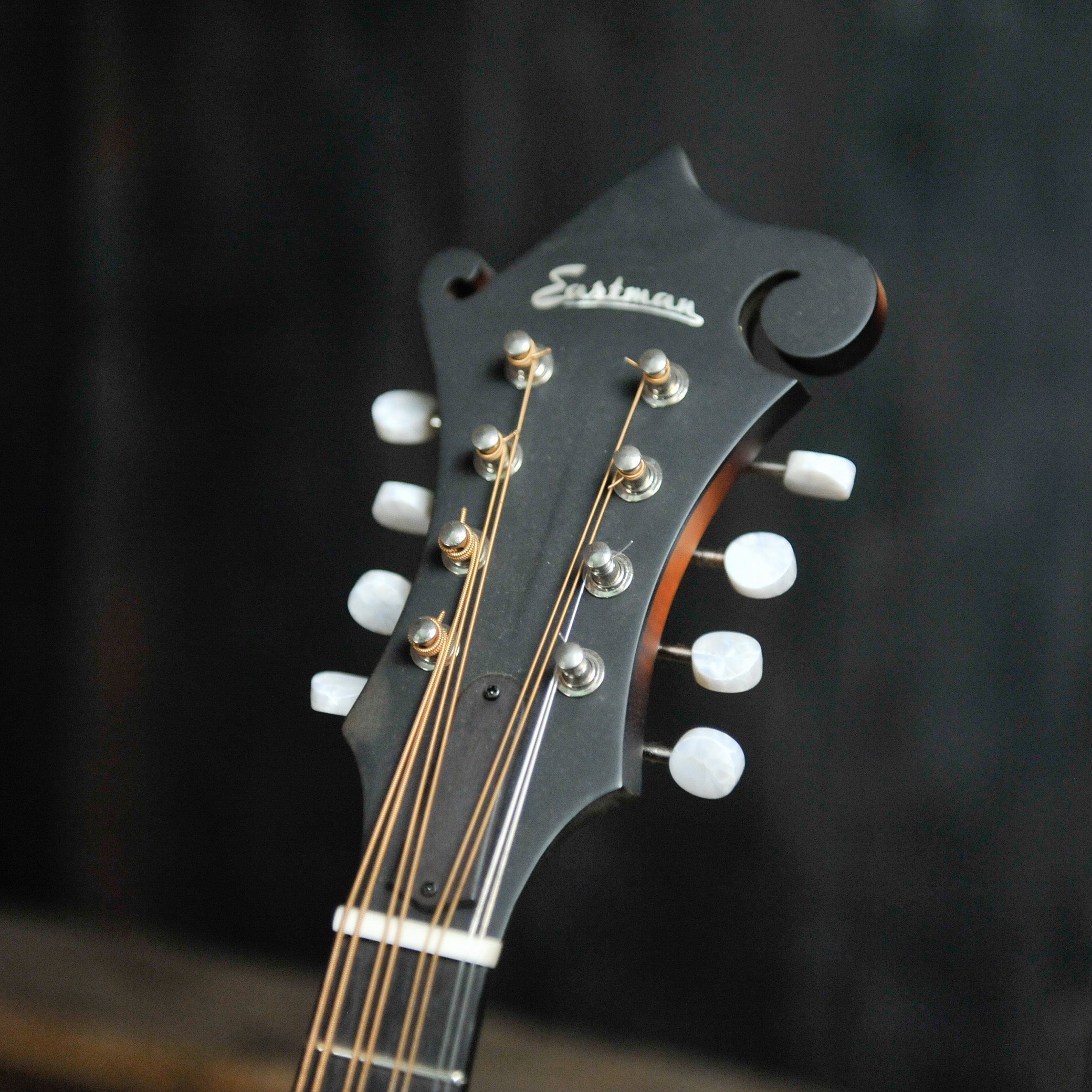 Eastman MDA315E SB F-Style Mandola w/Pickup w/Bag Sunburst