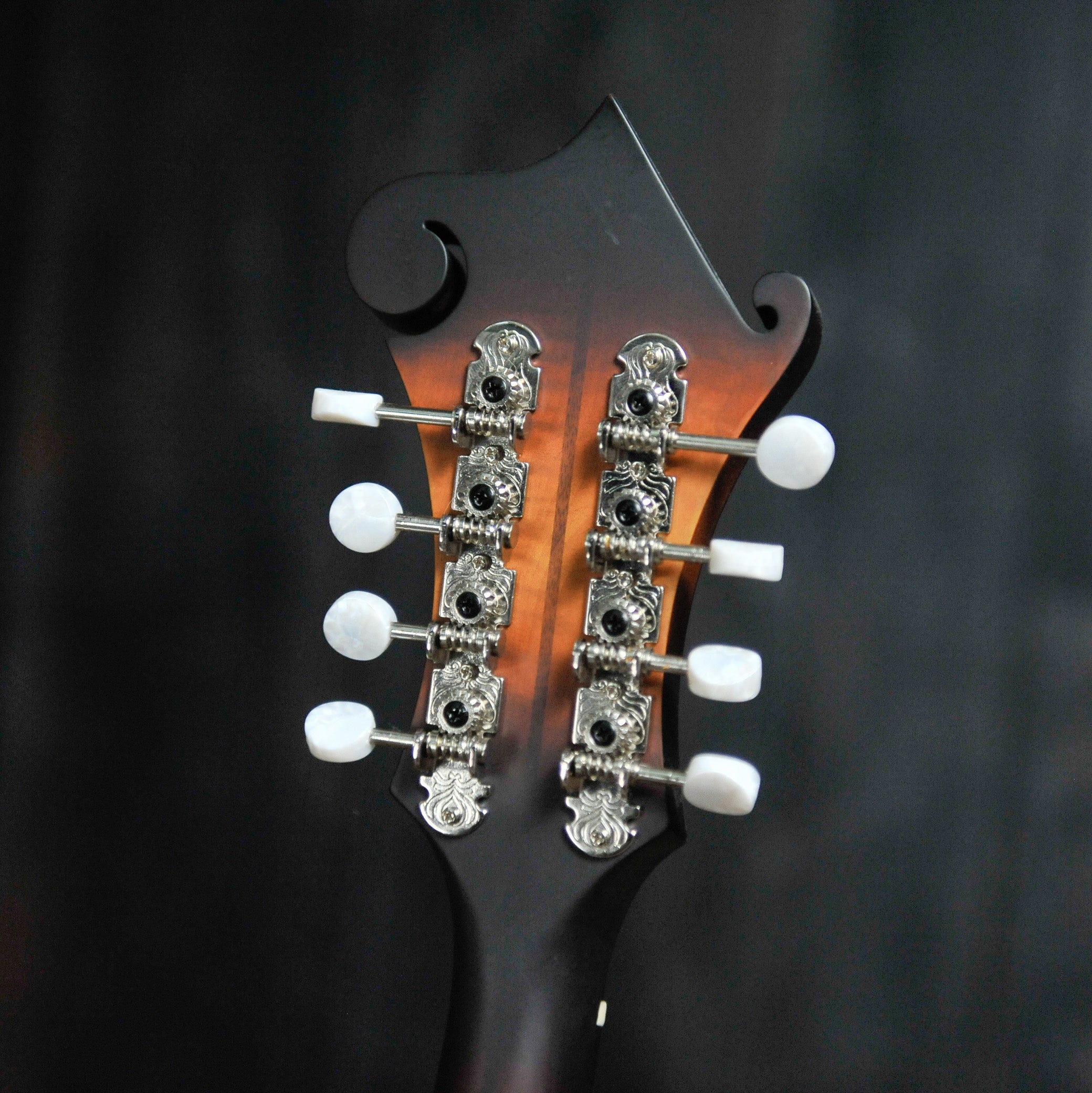 Eastman MDA315E SB F-Style Mandola w/Pickup w/Bag Sunburst