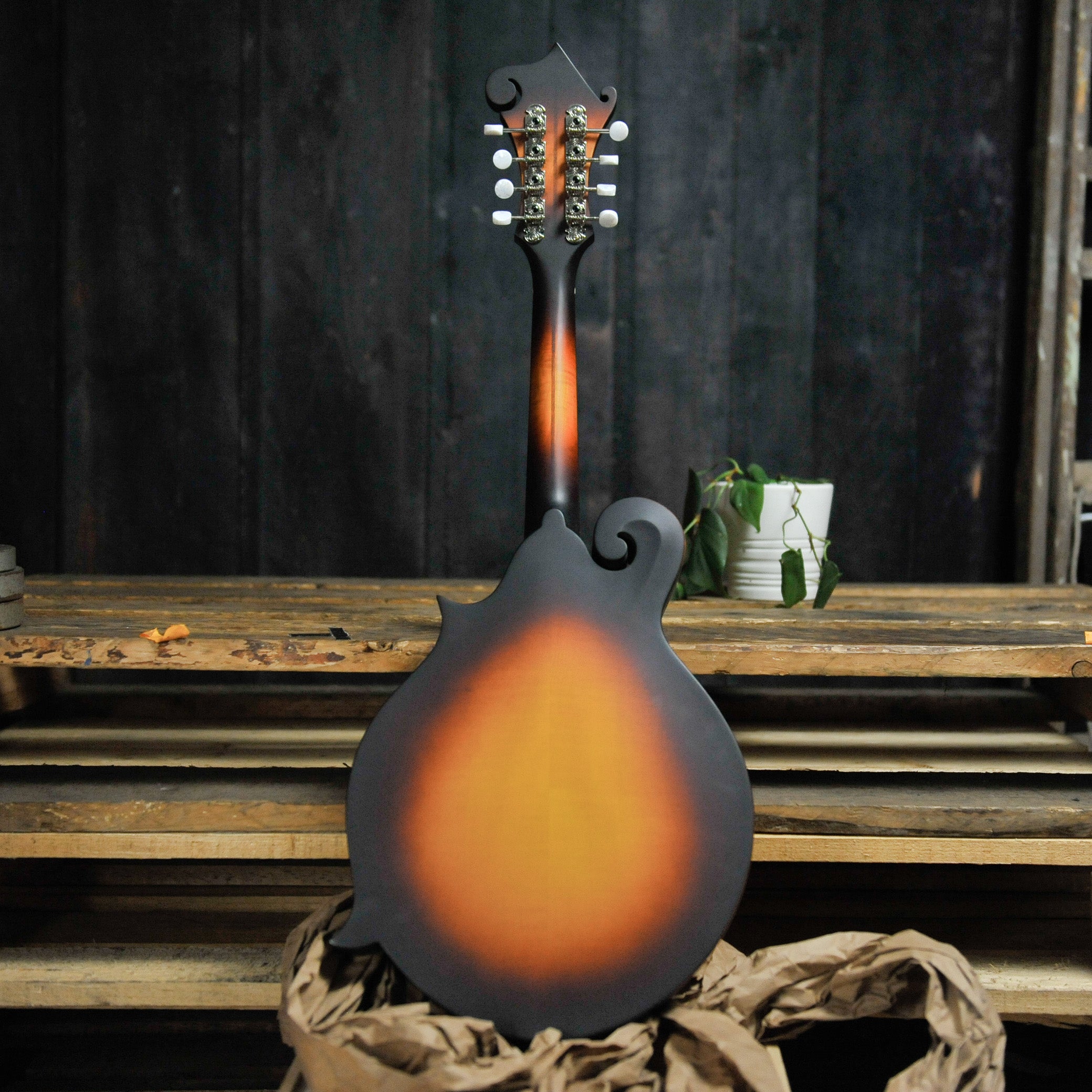 Eastman MDA315E SB F-Style Mandola w/Pickup w/Bag Sunburst