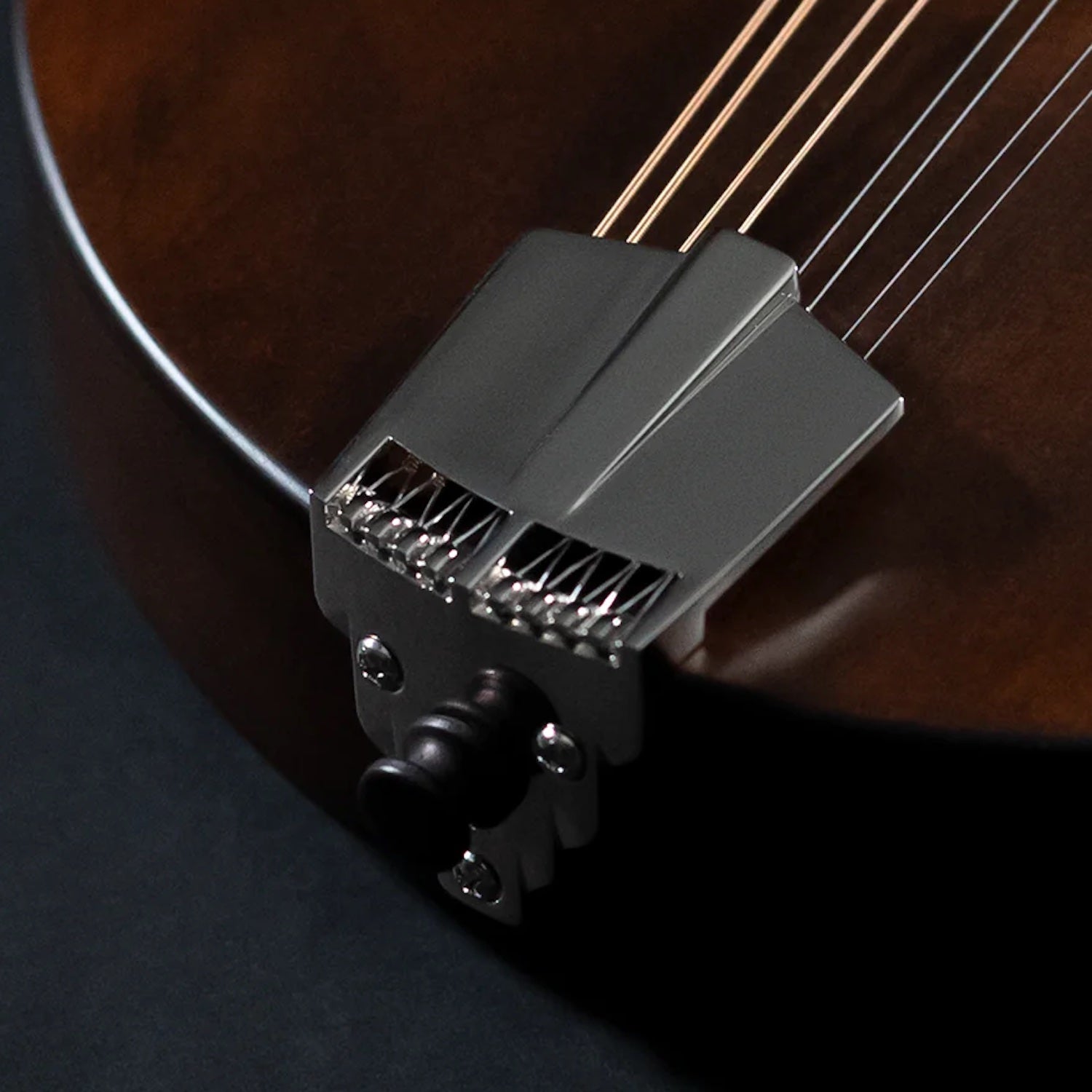 Eastman mandolin Tailpiece