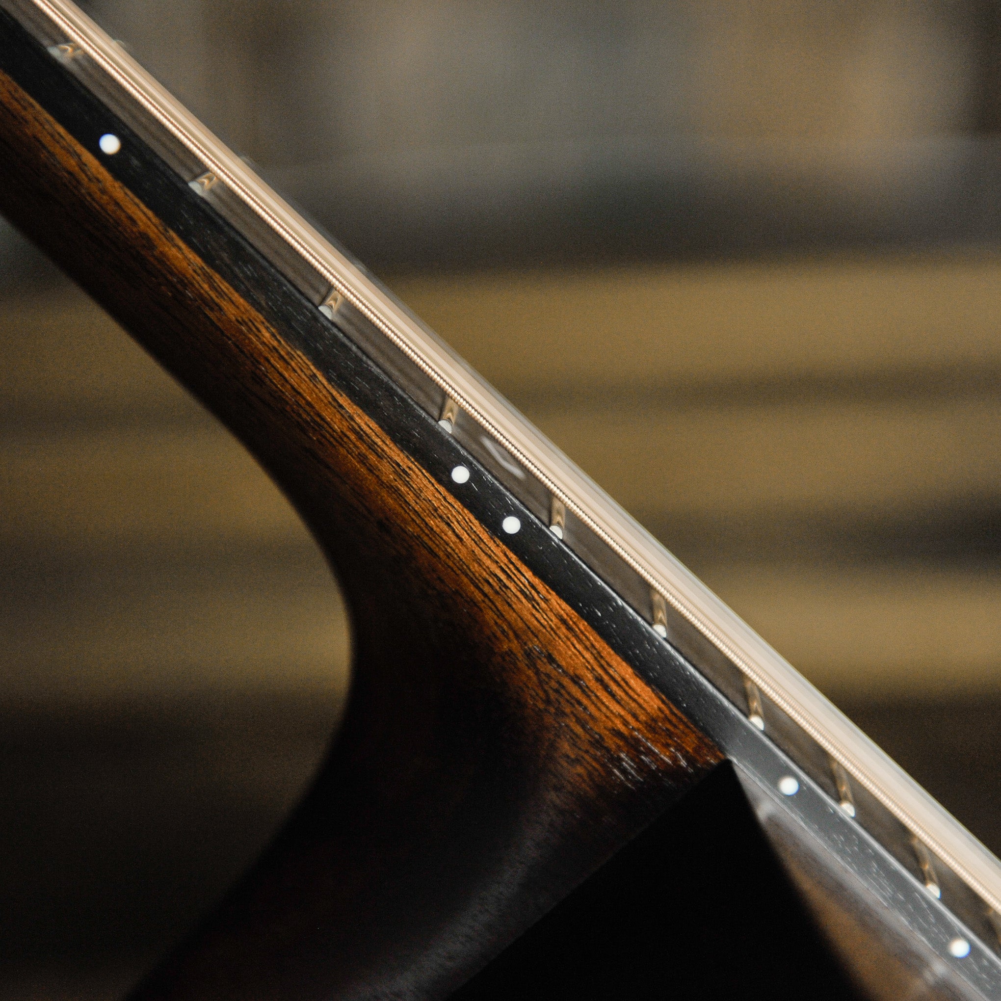 Fenech Delta Blues Auditorium Acoustic Guitar