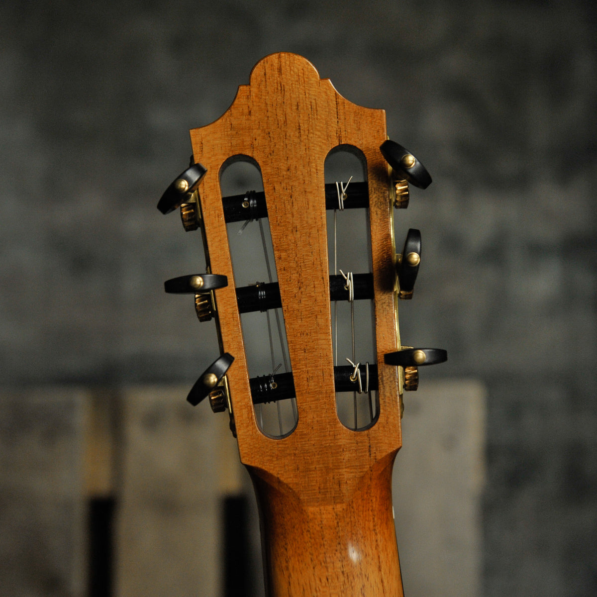 Sebastiano Fracasso Dolomio Classical Guitar Spruce/Maple