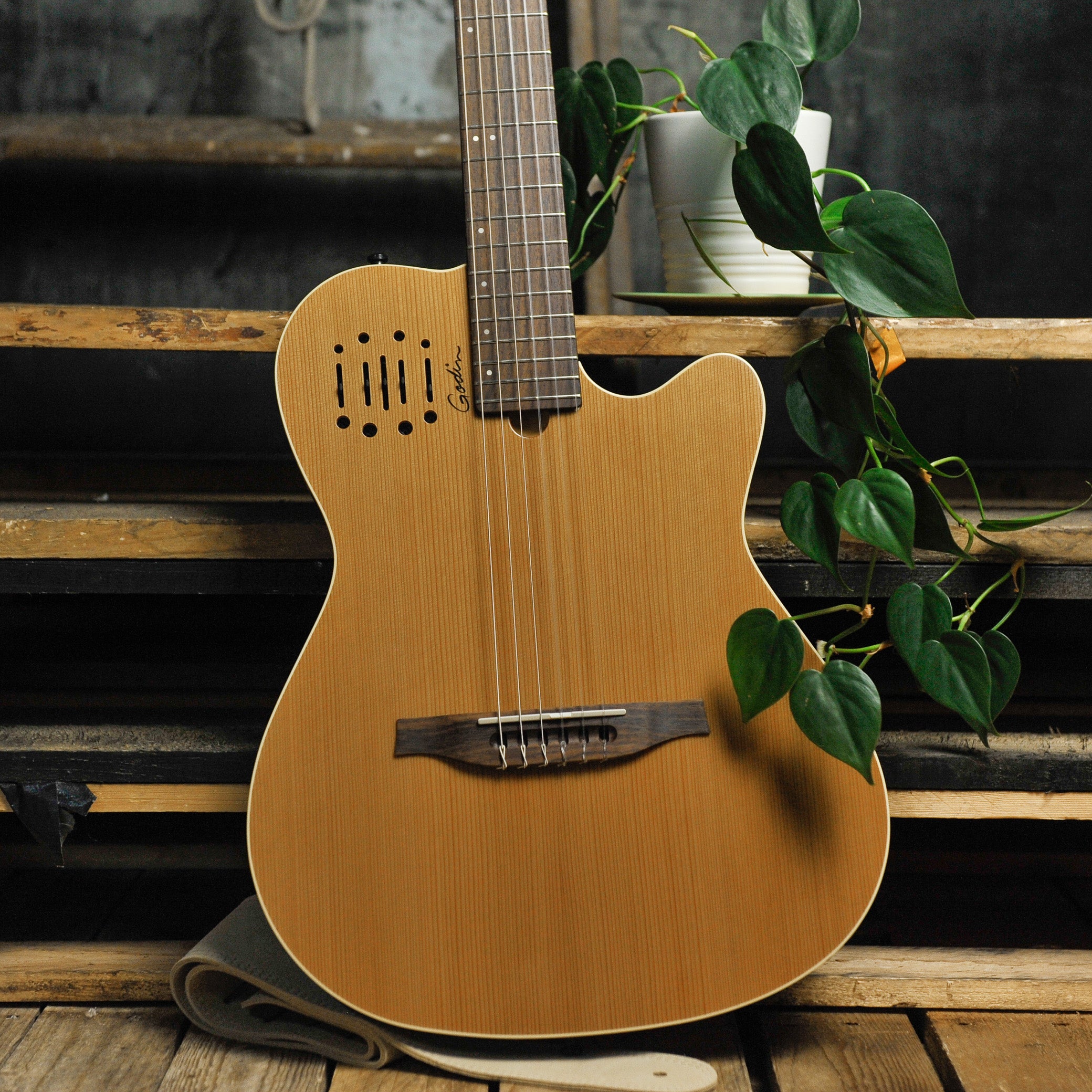 Buy Godin Multiac Nylon Encore Natural SG Australia – Gladesville