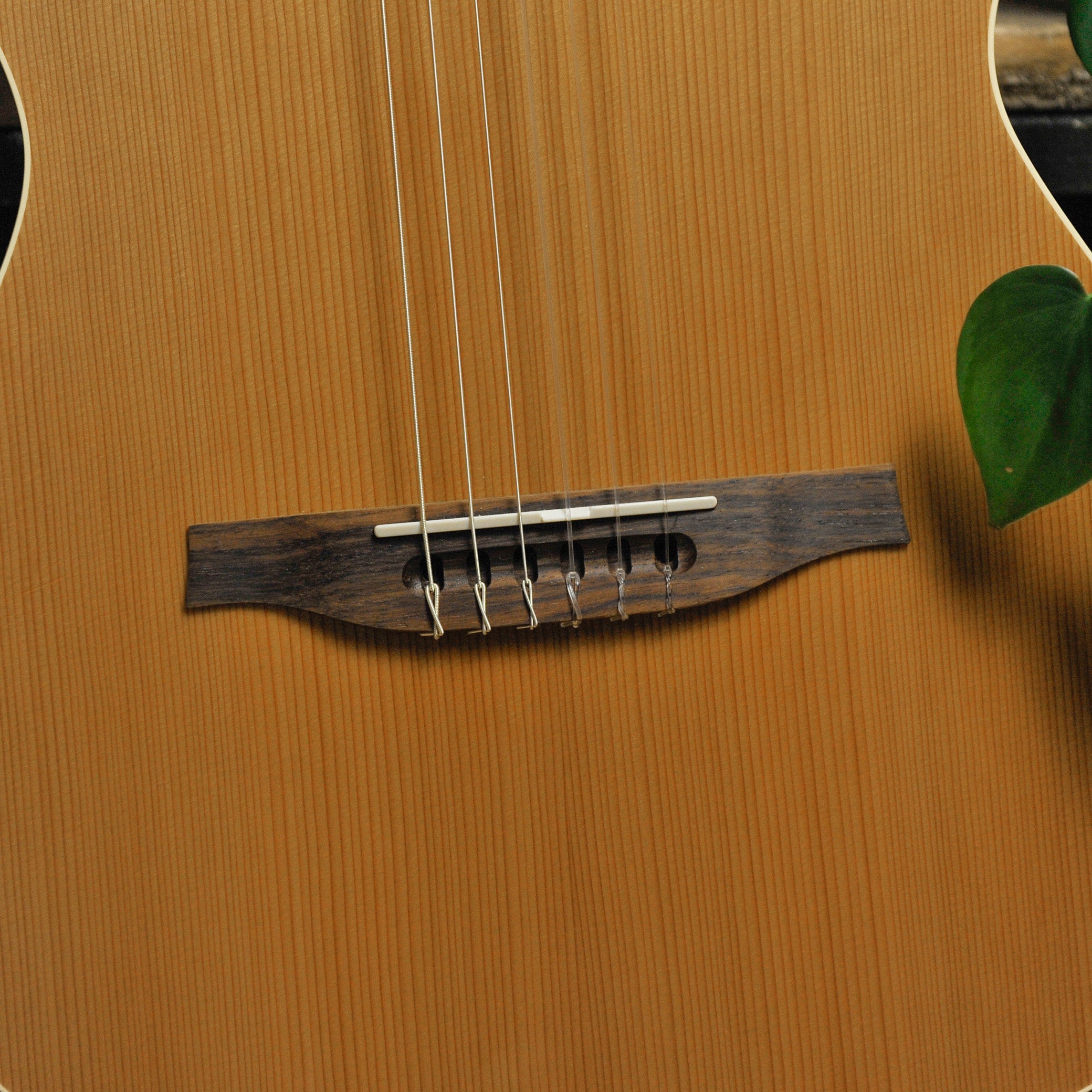 Godin Multiac Nylon Encore Natural SG Classical Guitar w/Bag