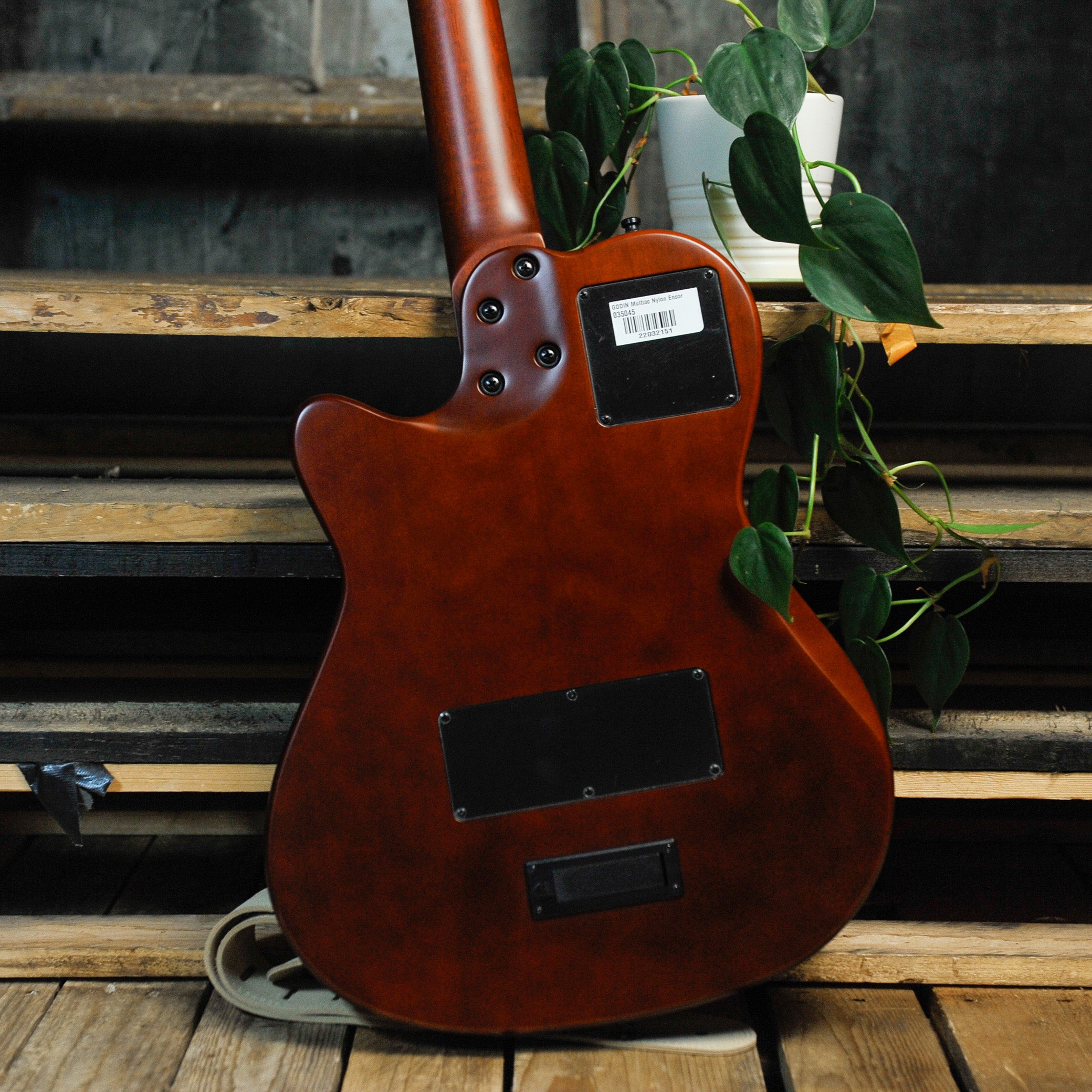 Buy Godin Multiac Nylon Encore Natural SG Australia – Gladesville