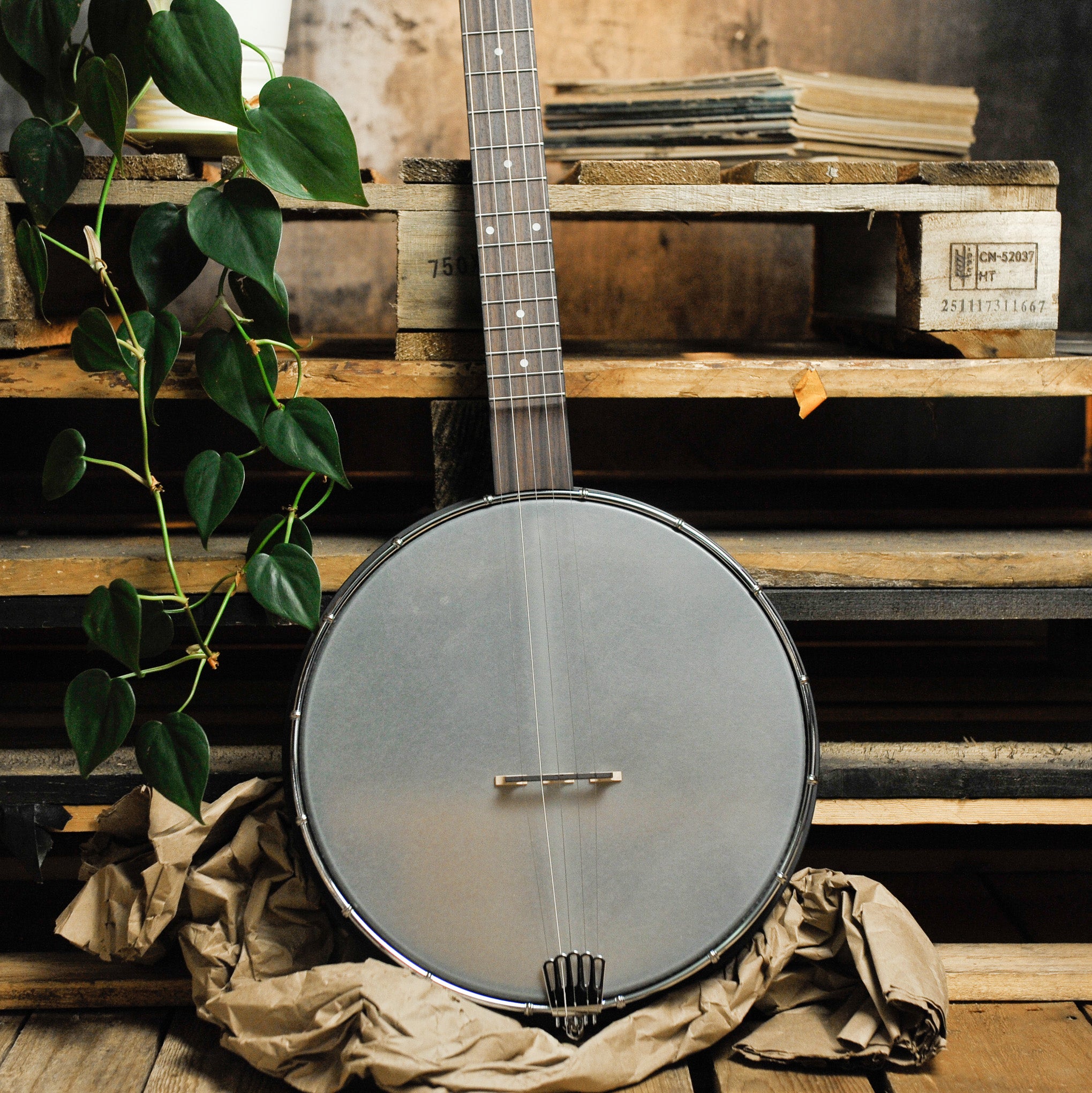Gold Tone AC-12 5-String Open Back Banjo 12" Rim w/Bag