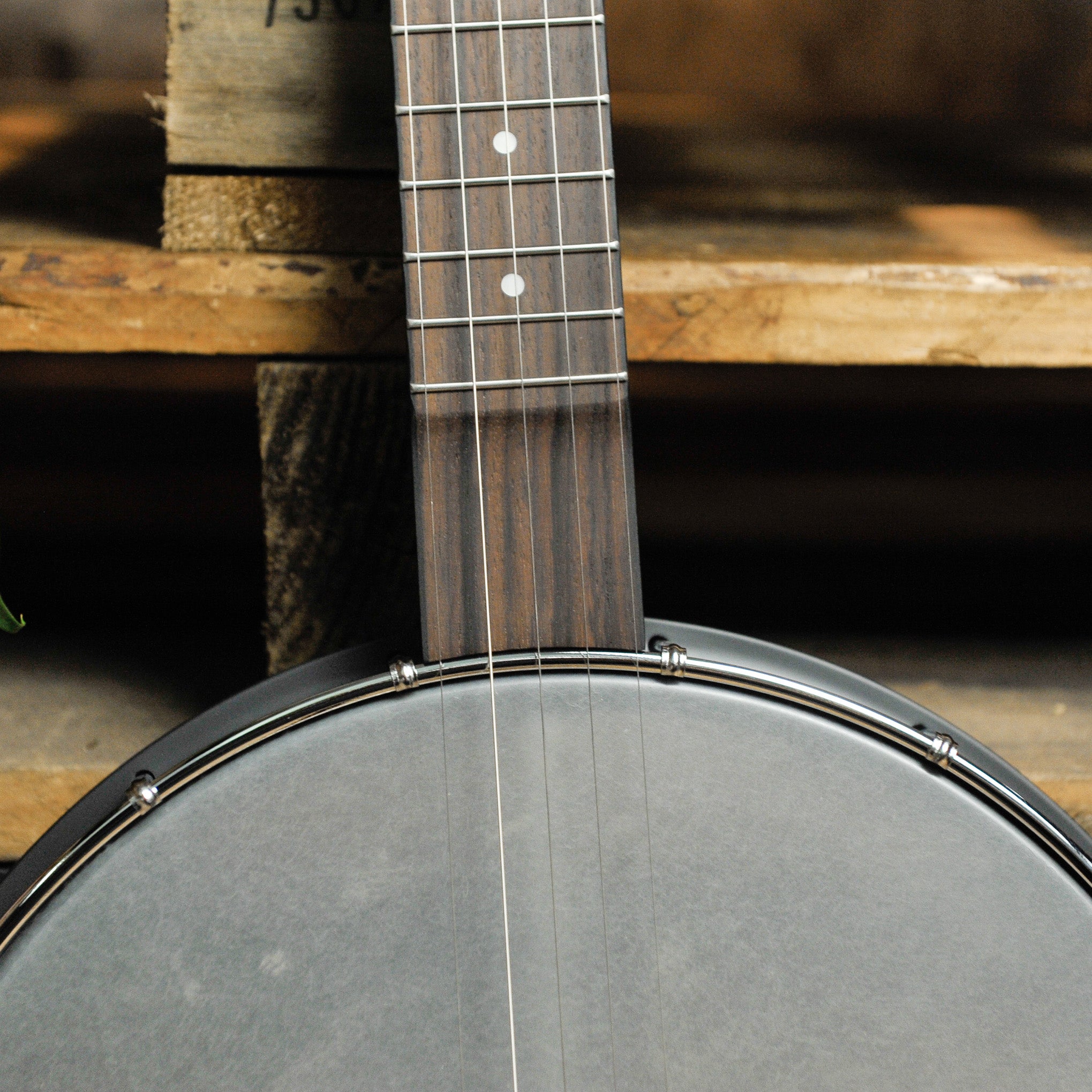 Gold Tone AC-12 5-String Open Back Banjo 12" Rim w/Bag