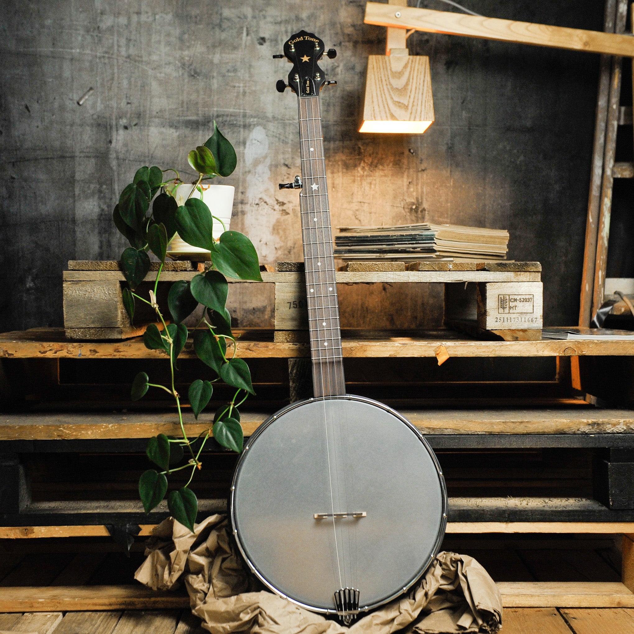 Gold Tone AC-12 5-String Open Back Banjo 12" Rim w/Bag