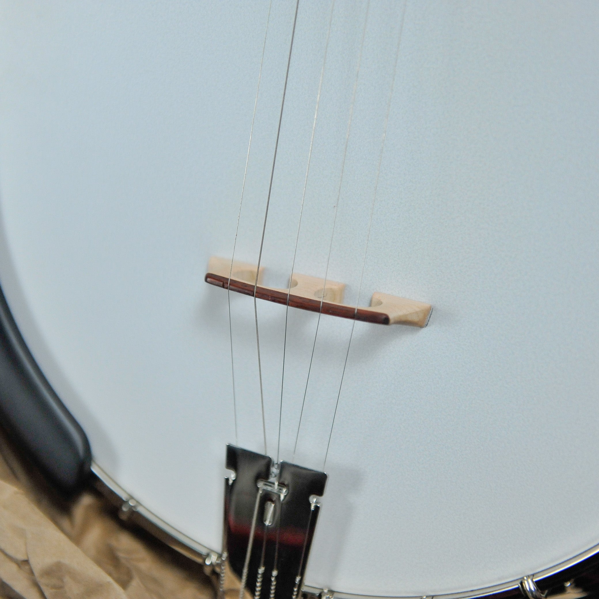 Gold Tone OB-Bela Fleck Signature Banjo w/case