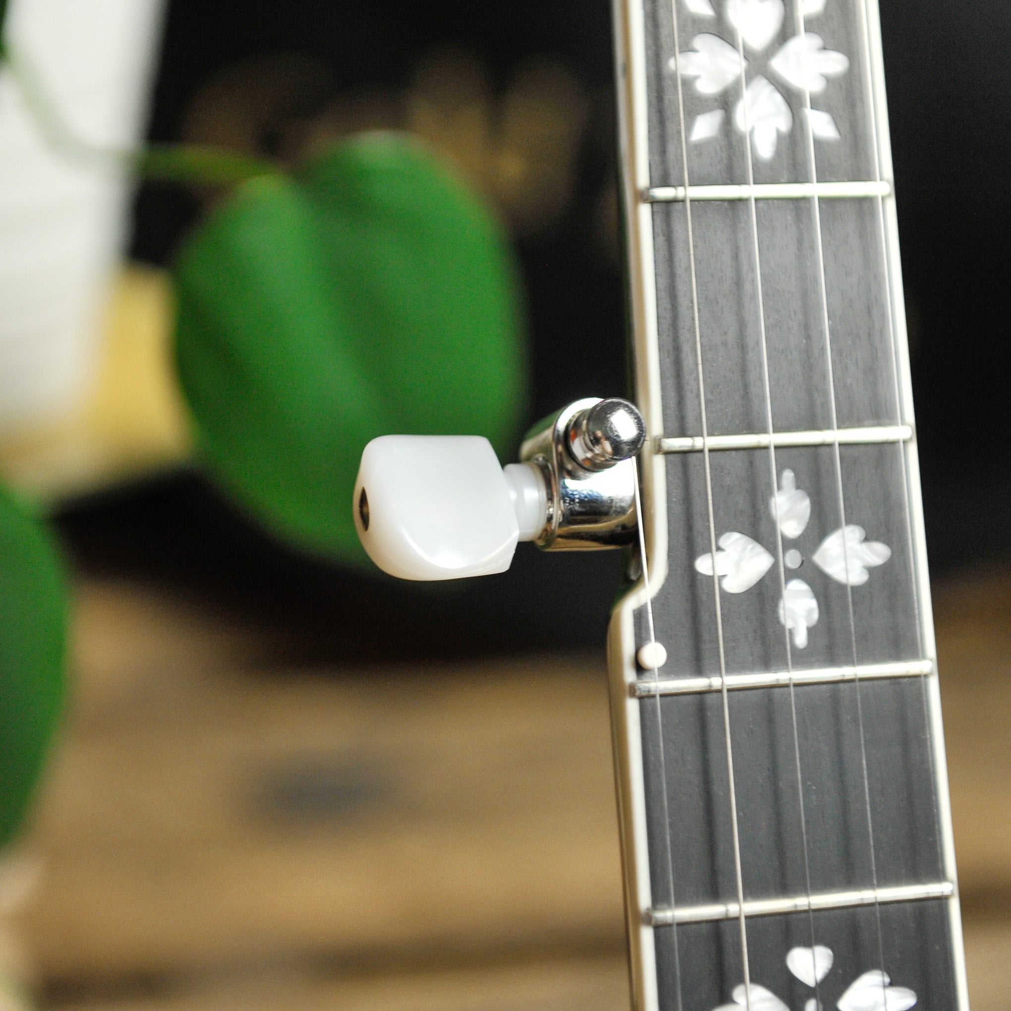 Gold Tone Mastertone™ OB-Standard Resonator Banjo w/Case