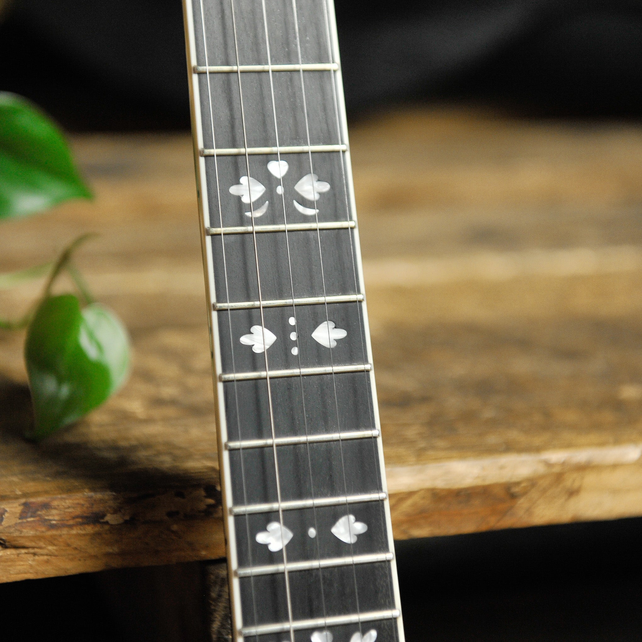 Gold Tone Mastertone™ OB-Standard Resonator Banjo w/Case