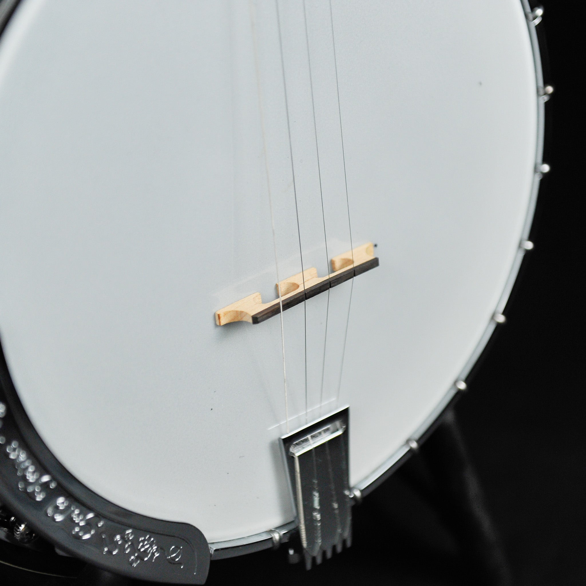 Gold Tone PS-250 4-String Resonator Plectrum Special Banjo w/Case - Used