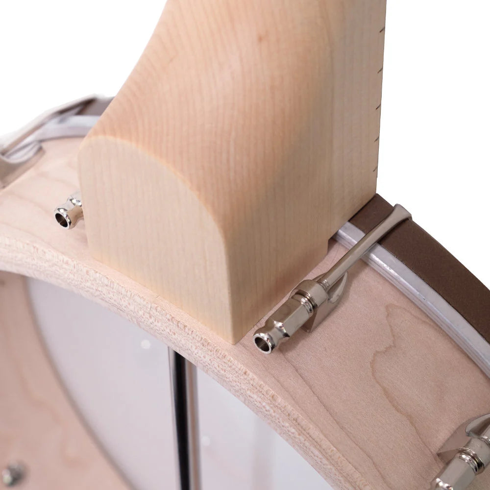 Deering Goodtime-GD Openback Deco 5-String Banjo