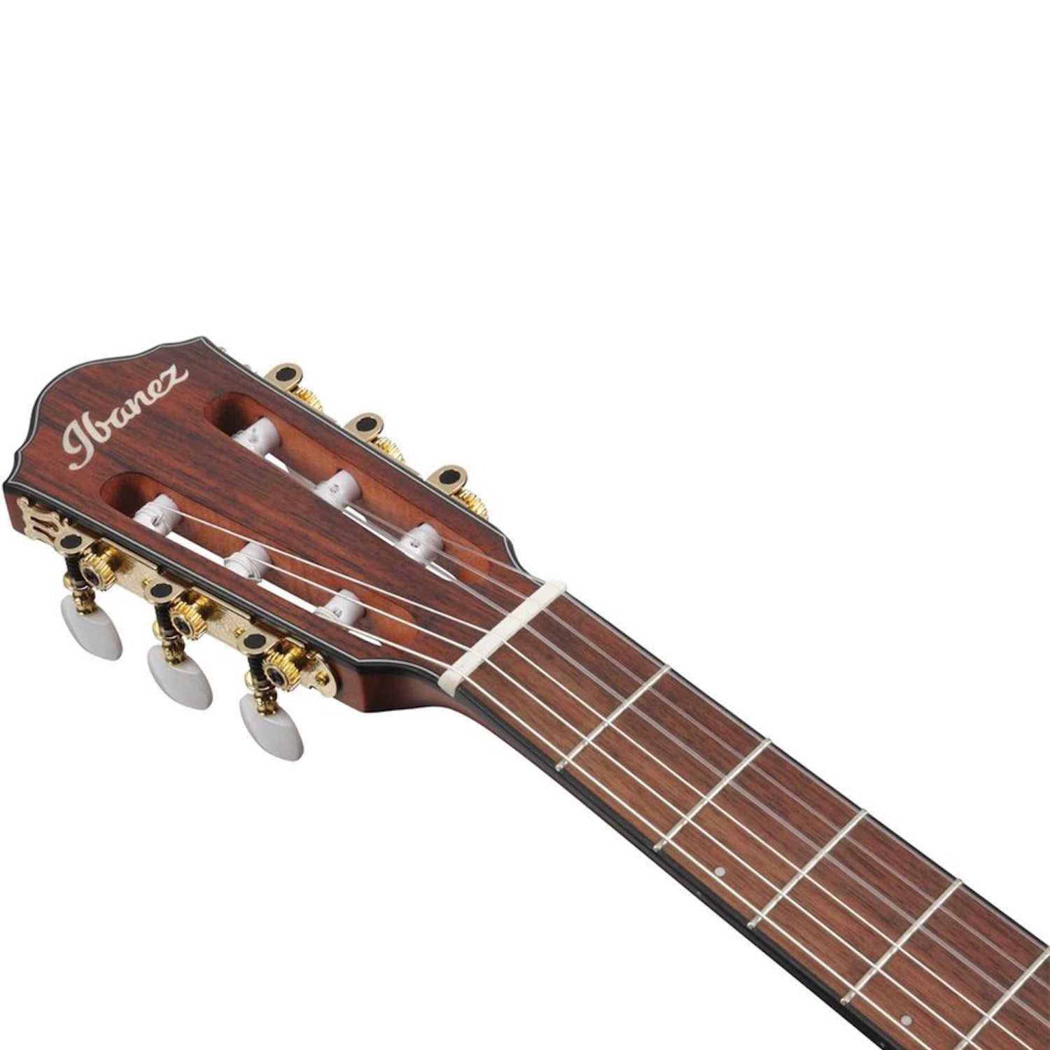 Ibanez FRH10N RGF Acoustic Electric Nylon String Guitar (Rose Gold Metallic Flat)