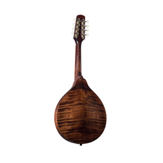 Kentucky KM206 A-Style Mandolin w/Bag