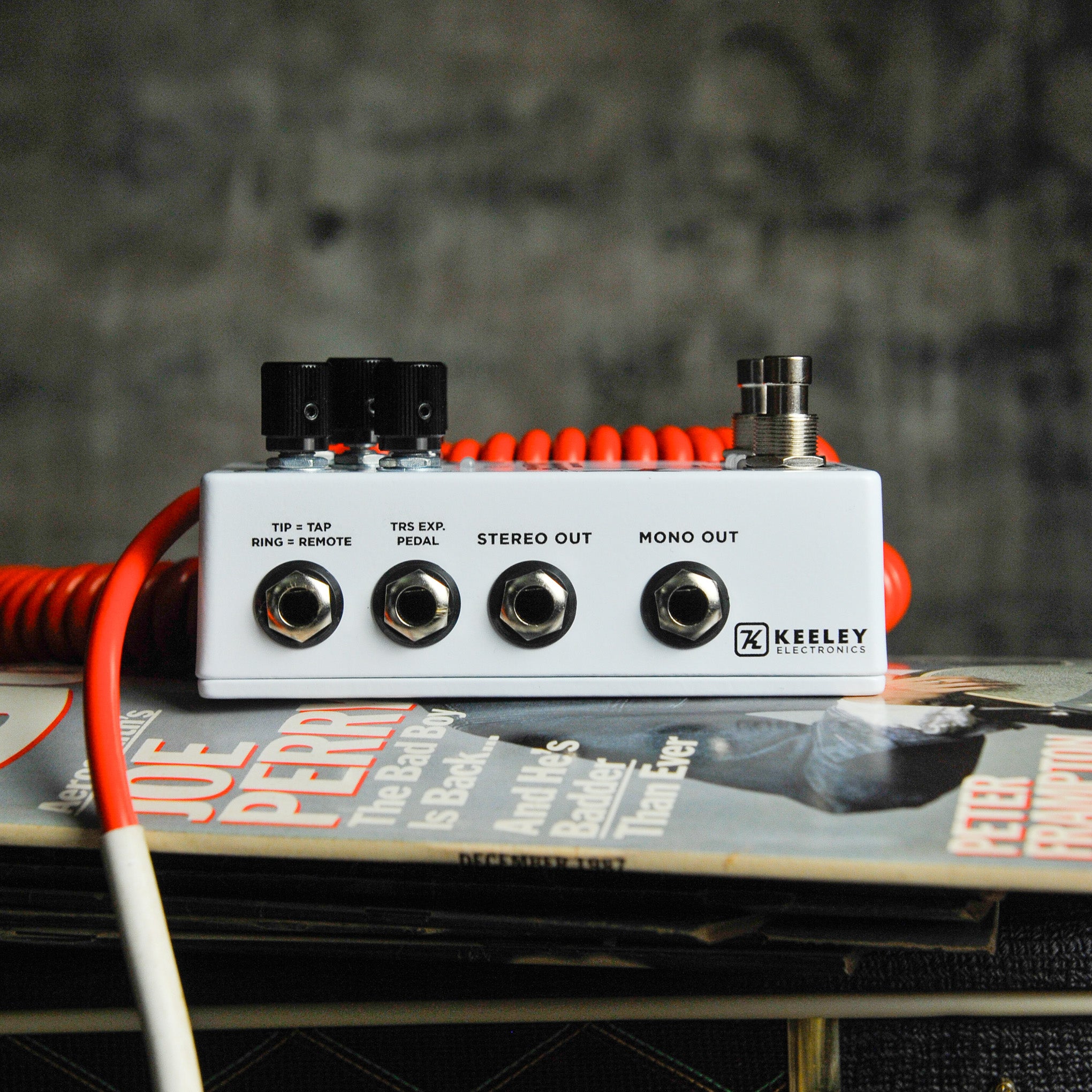 Keeley Eccos Delay Looper