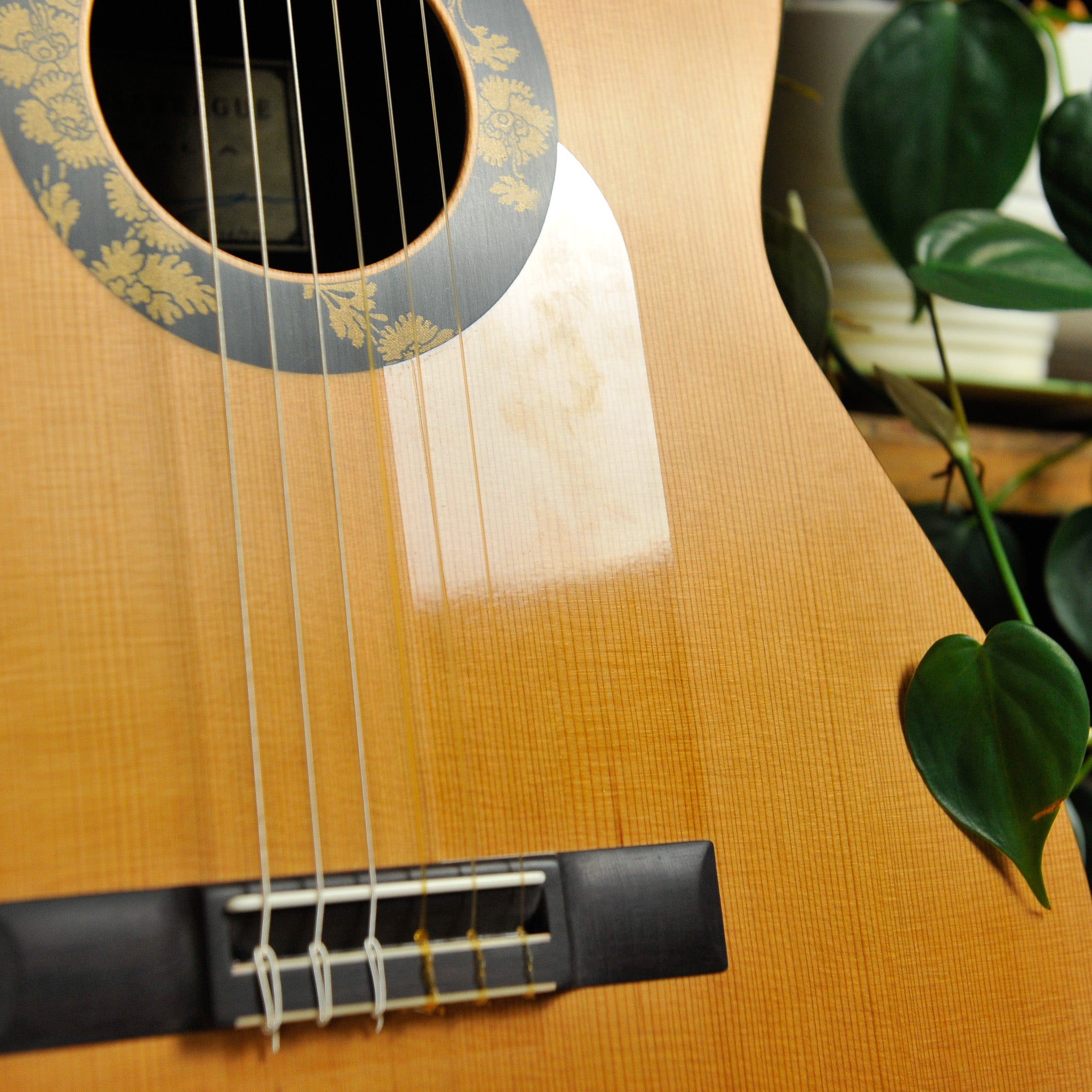 Kim Lissarrague Modern Model Cedar/Quilted Maple Classical Guitar 2026/459 w/Vicenut Case