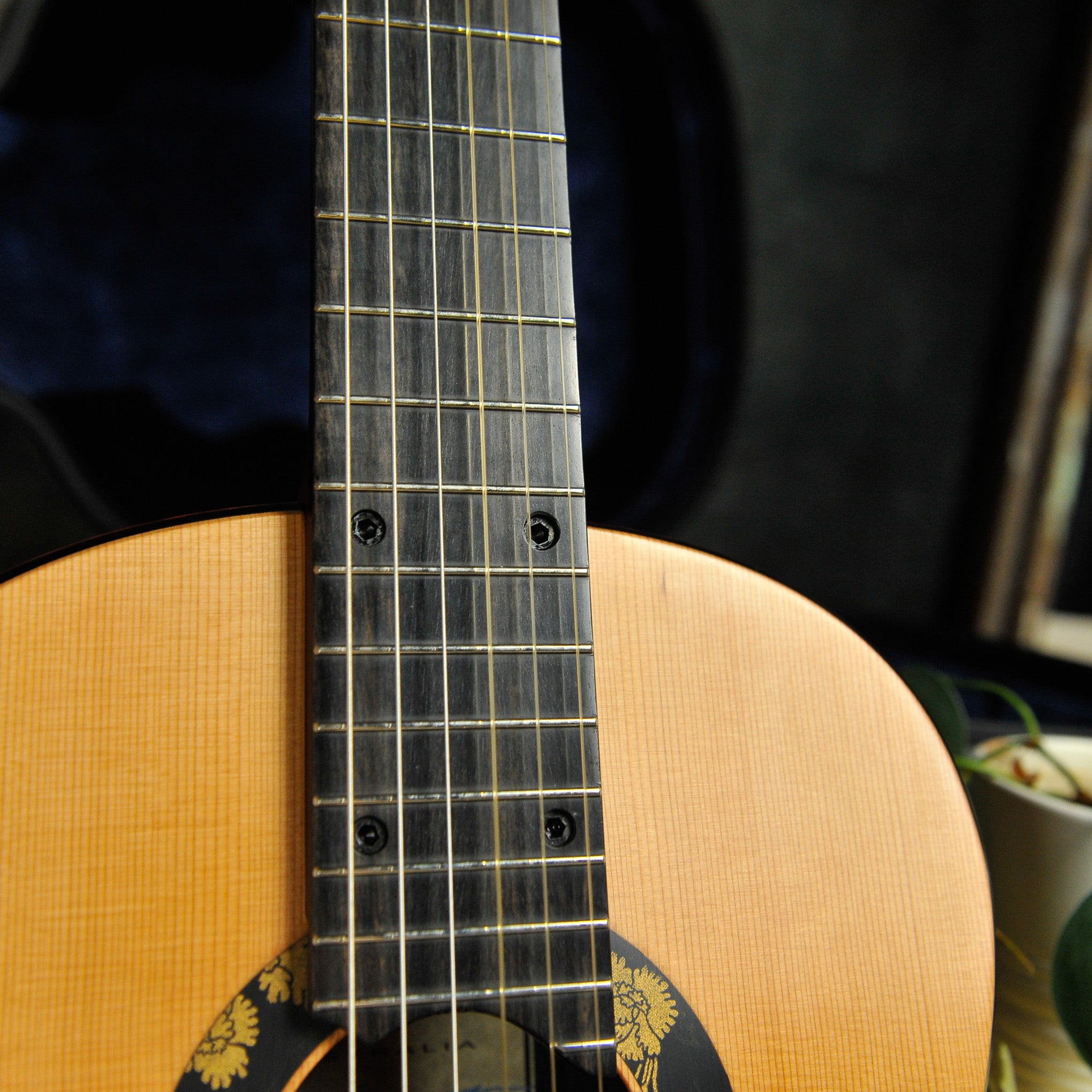 Kim Lissarrague Modern Model Cedar/Quilted Maple Classical Guitar 2026/459 w/Vicenut Case