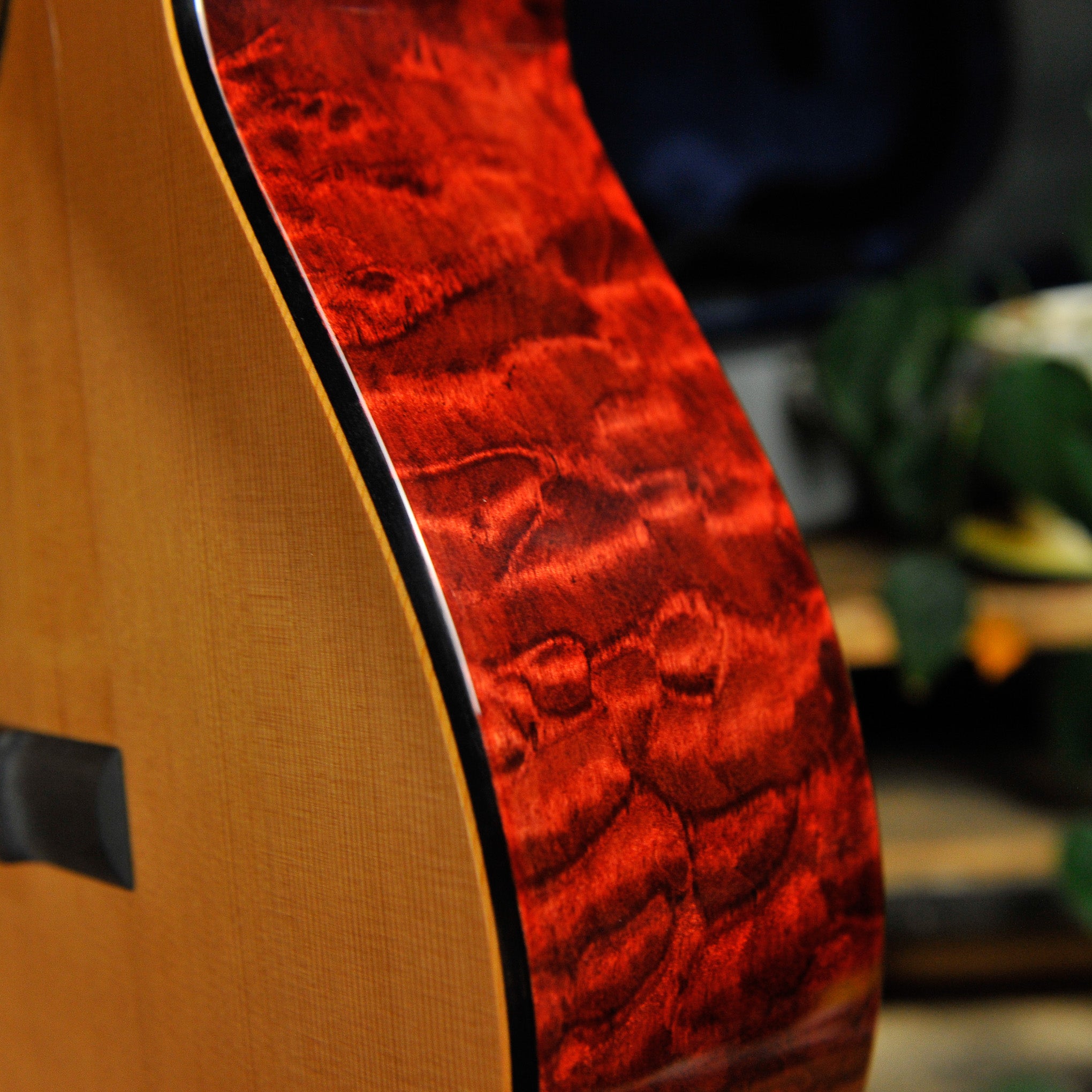 Kim Lissarrague Modern Model Cedar/Quilted Maple Classical Guitar 2026/459 w/Vicenut Case