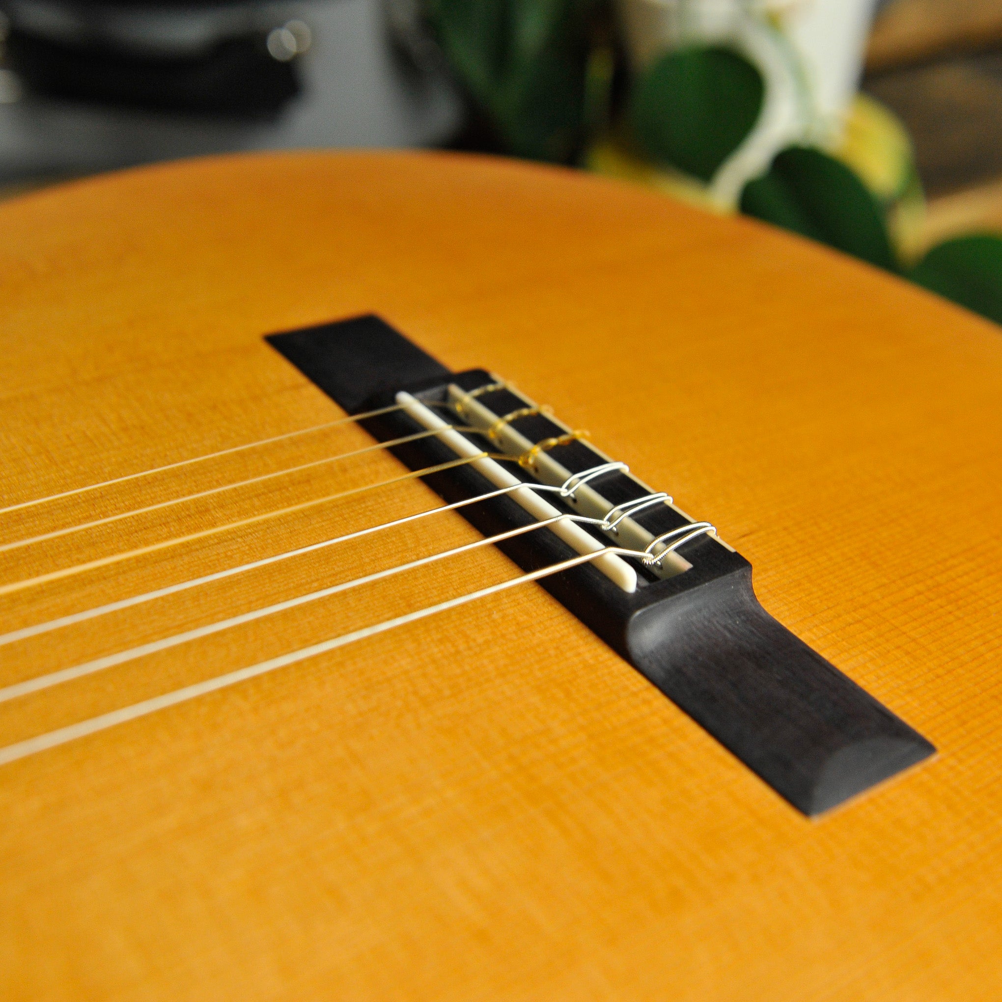 Kim Lissarrague Modern Model Cedar/Quilted Maple Classical Guitar 2026/459 w/Vicenut Case
