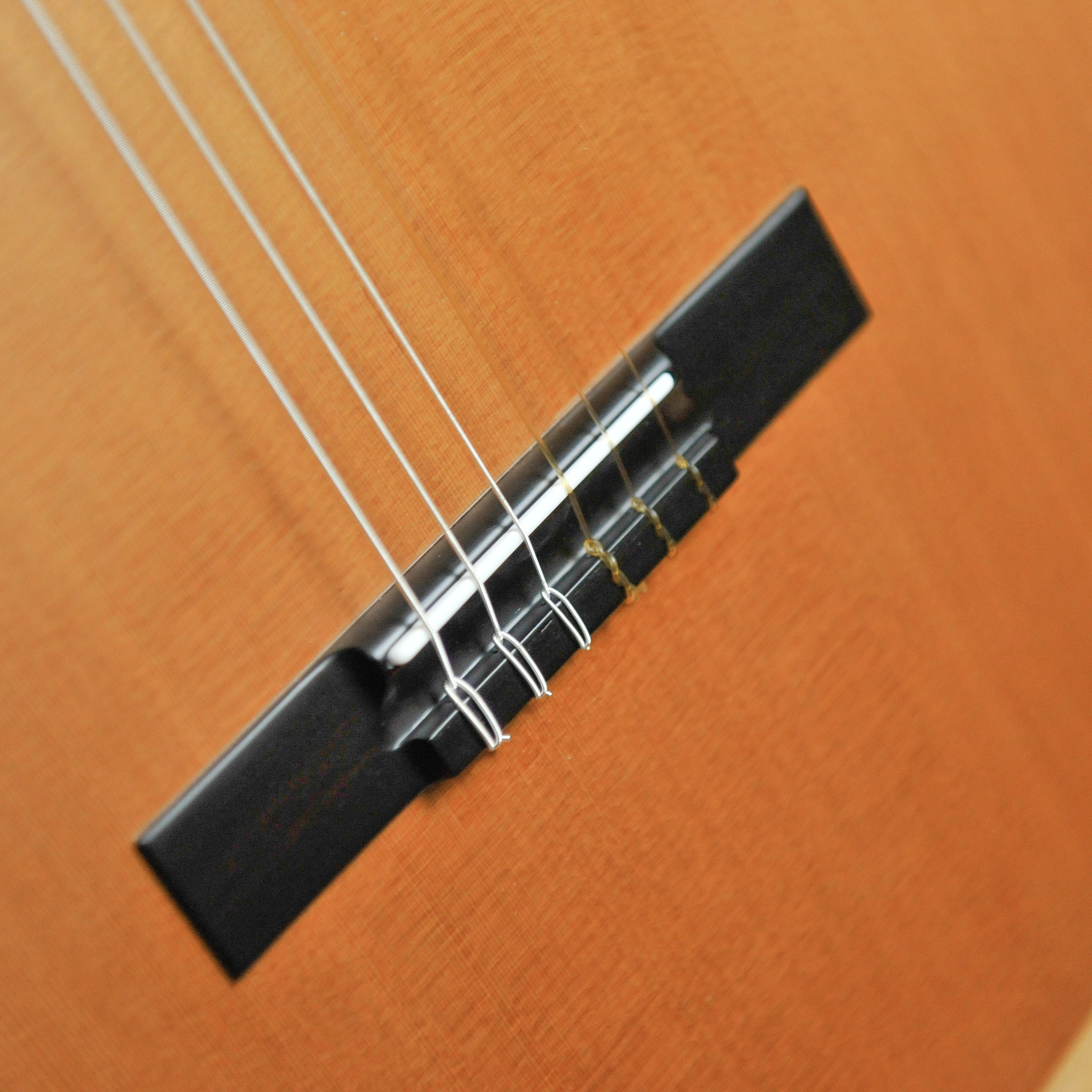 Kim Lissarrague "Concert Grand" Classical Guitar w/Hiscox case