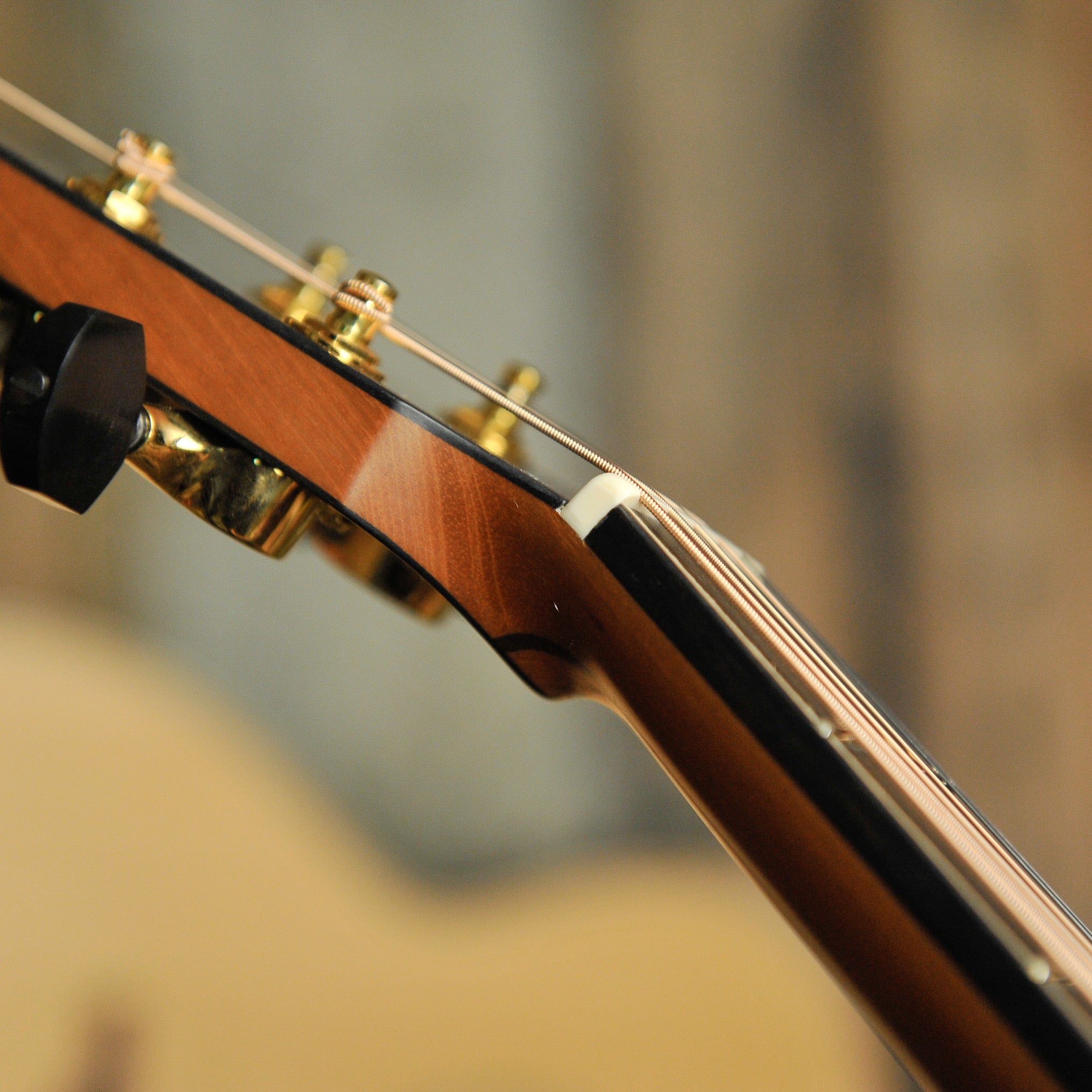 Lowden S-50 Royal Ebony & Sinker Redwood